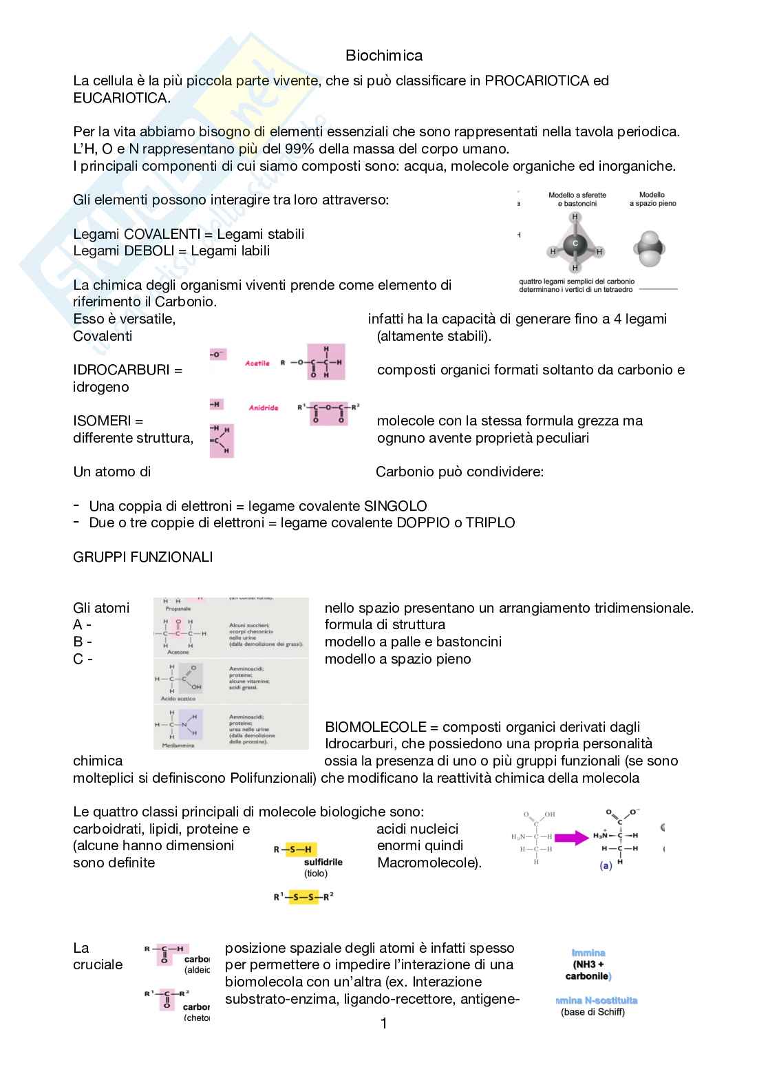 Appunti di Biochimica sulla parte introduttiva, non completi  Pag. 1