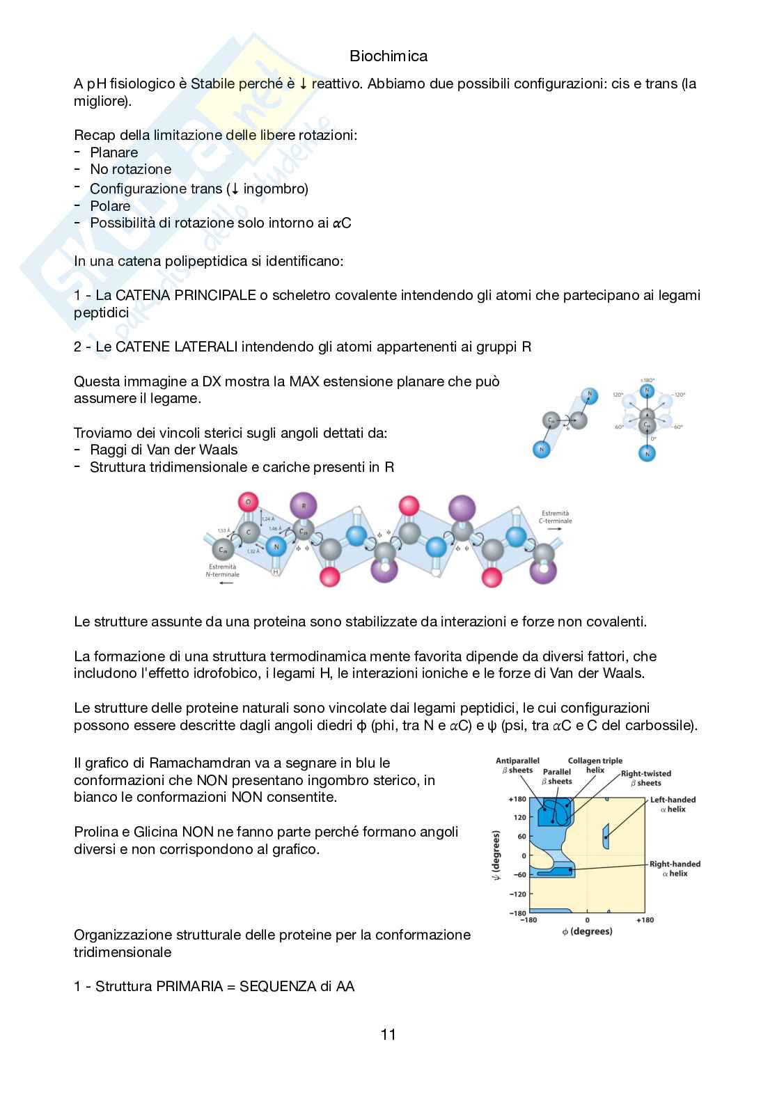 Appunti di Biochimica sulla parte introduttiva, non completi  Pag. 11