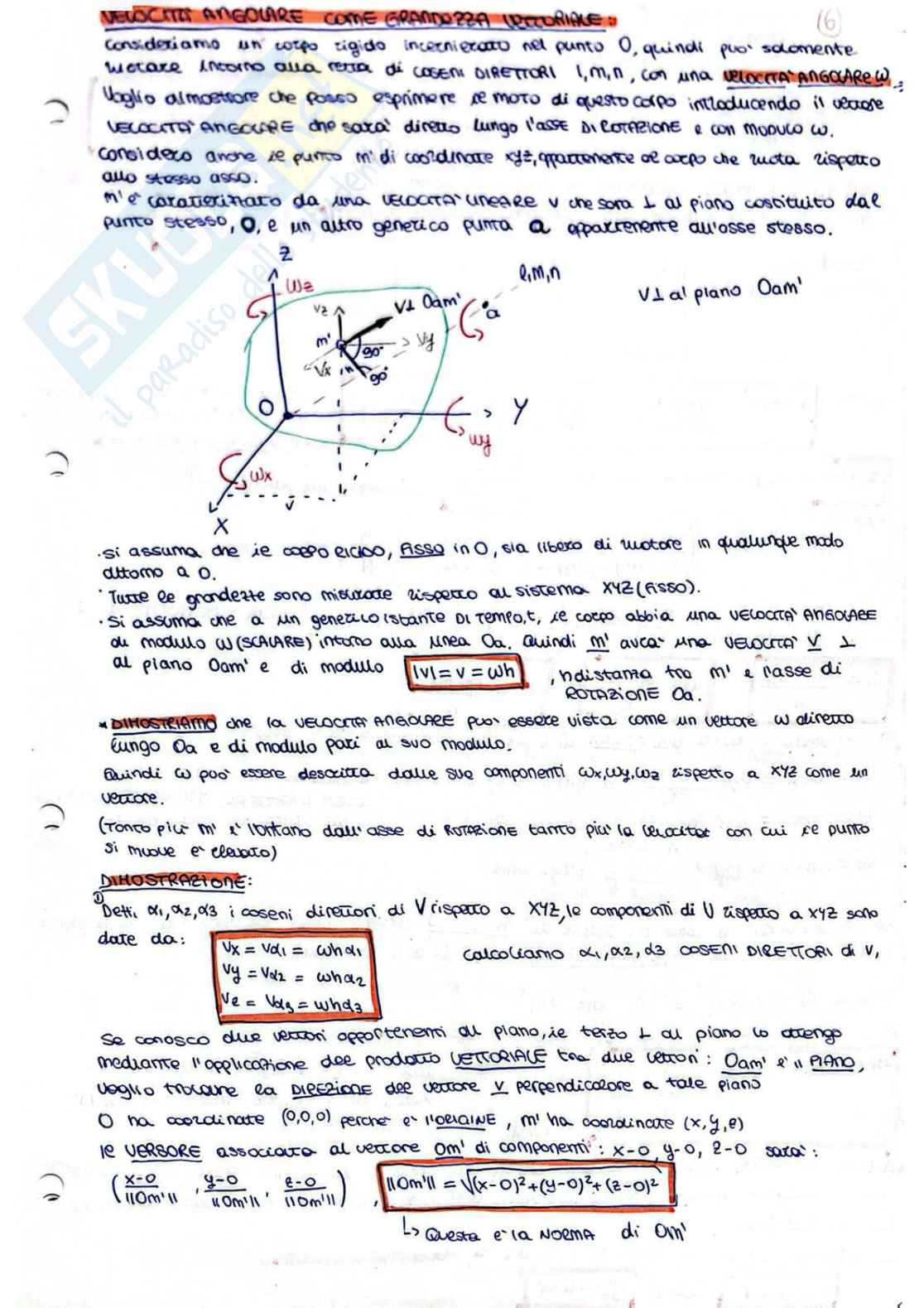 Teoria Biomeccanica del movimento Pag. 11