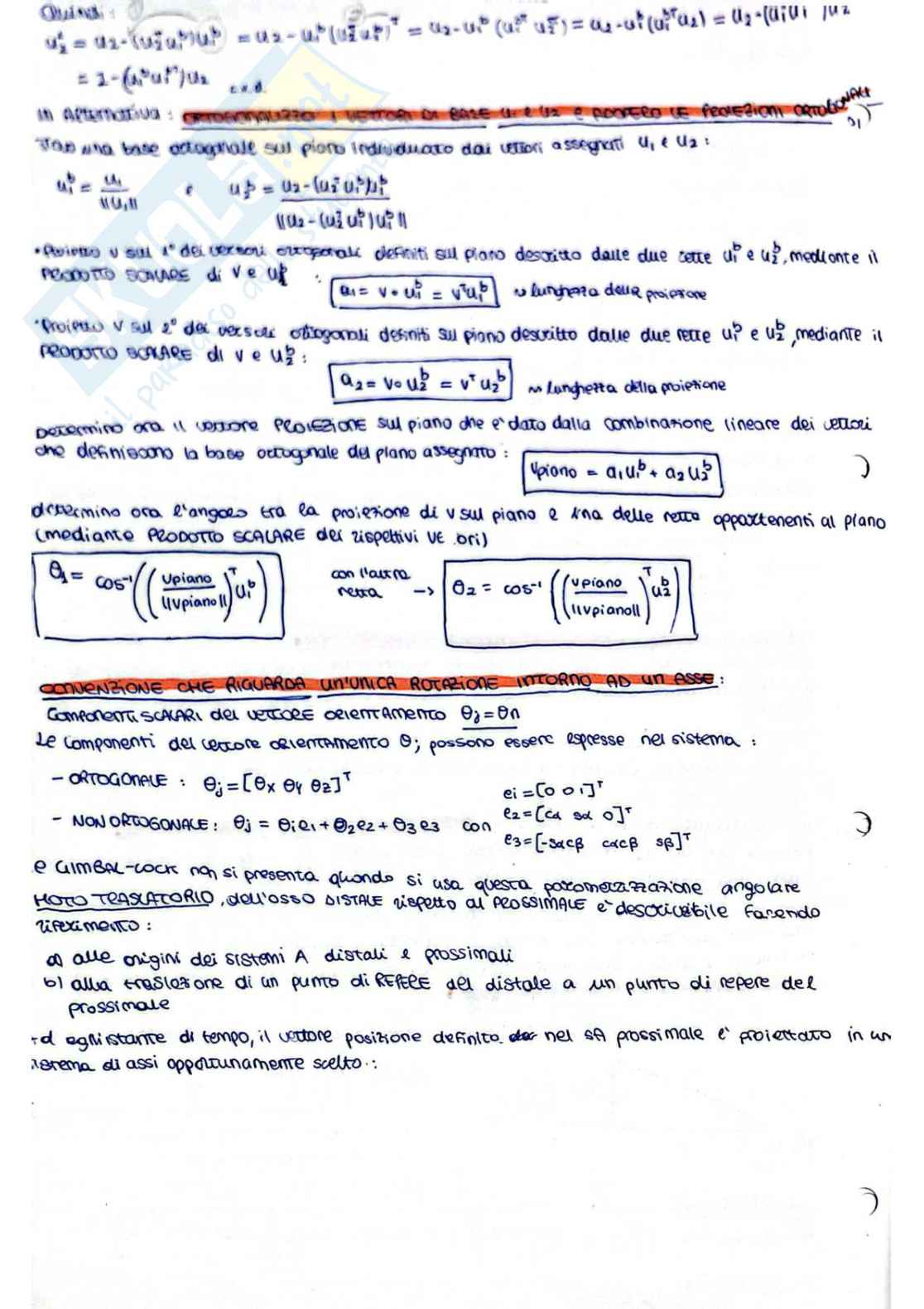 Teoria Biomeccanica del movimento Pag. 26