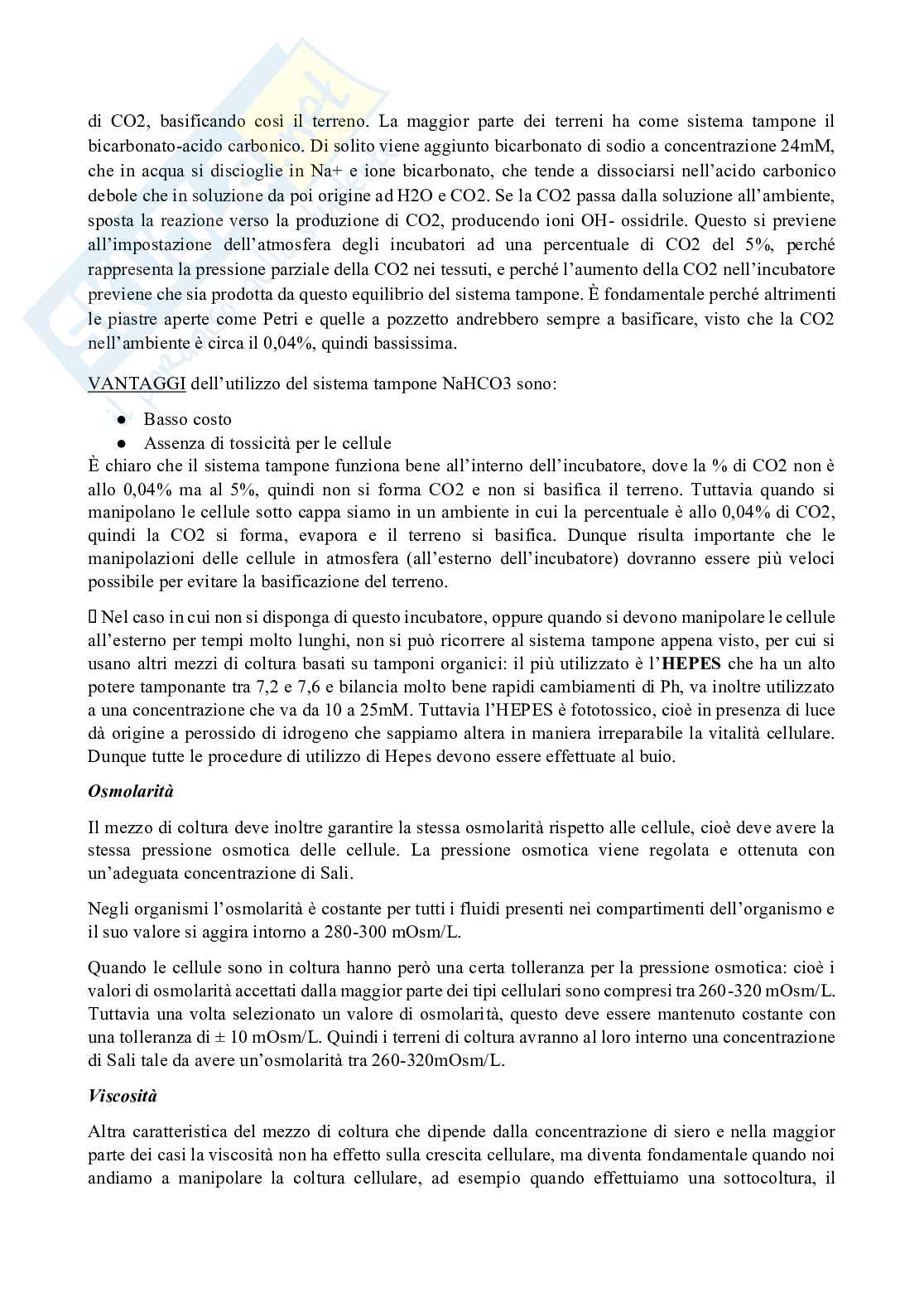 Biologia cellulare con laboratorio Pag. 6