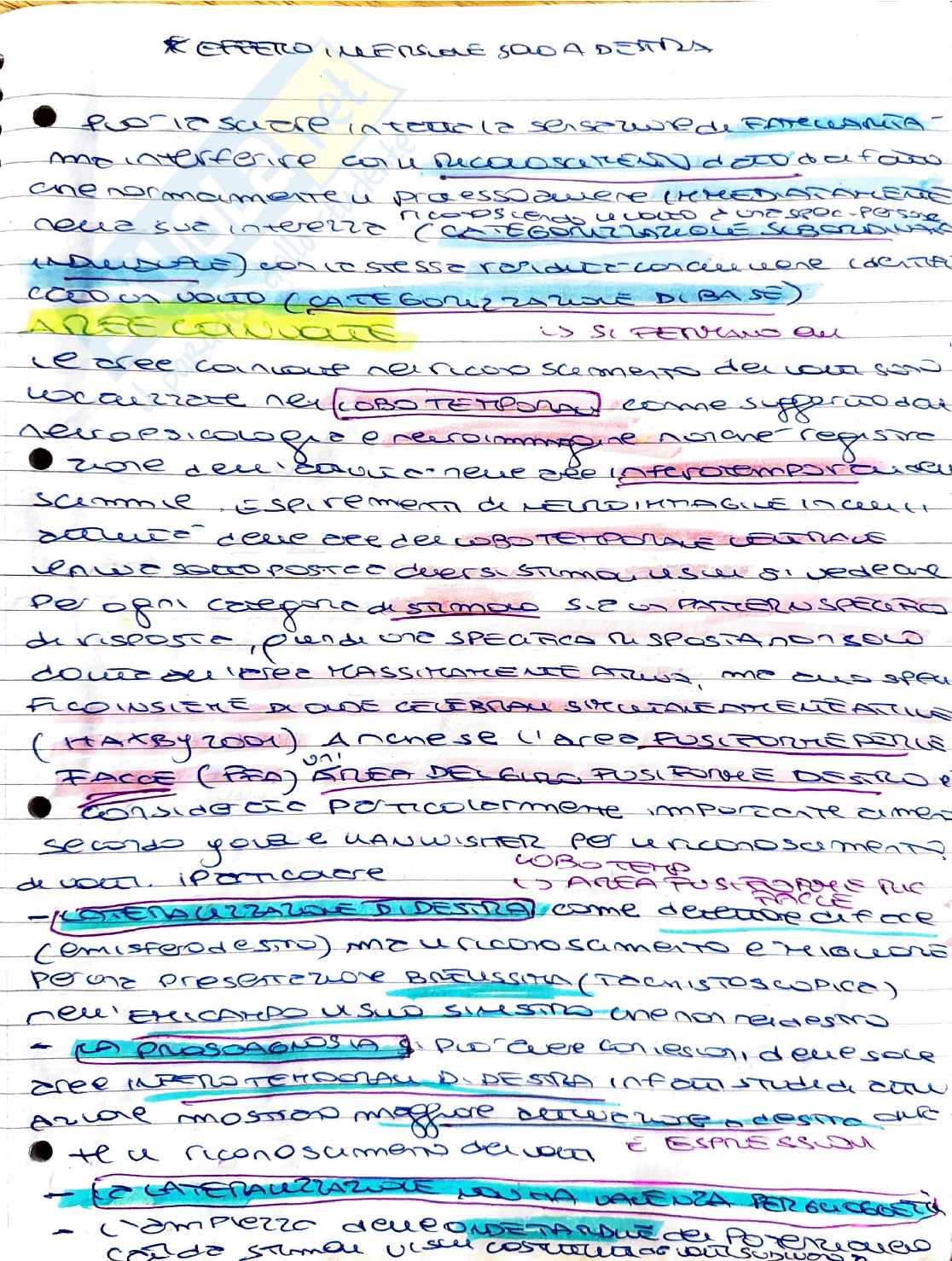Psicobiologia della percezione: il riconoscimento dei volti e area fusiforme (FFA) Pag. 1