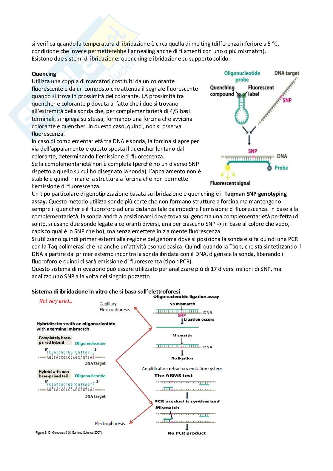 Genomica e DNA profiling - corso completo Pag. 51