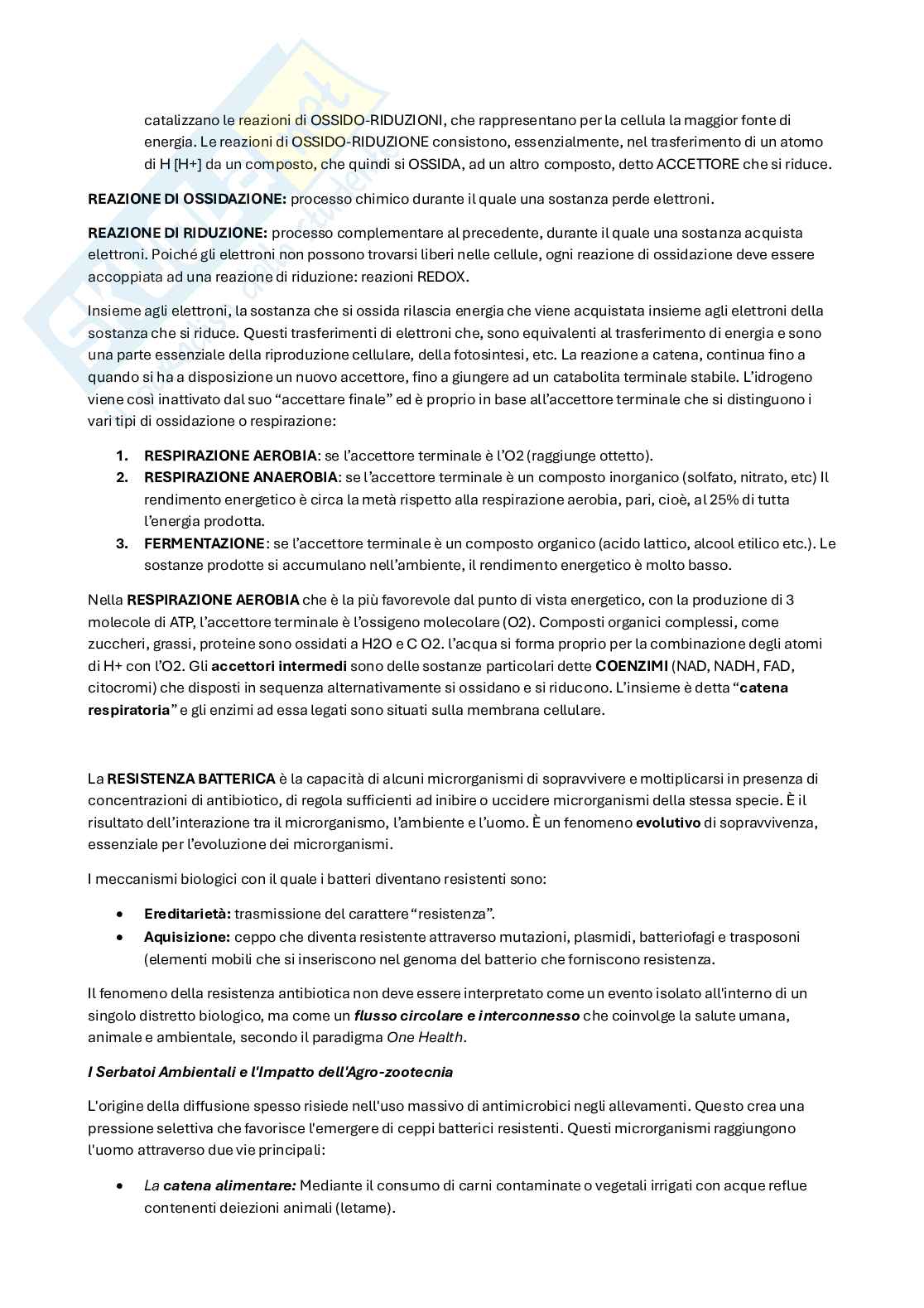 Microbiologia, microbiologia clinica e virologia Pag. 11