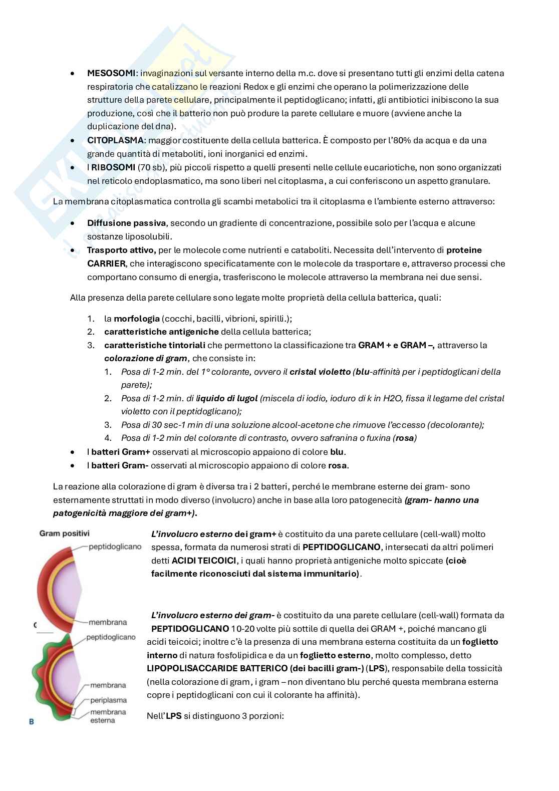 Microbiologia, microbiologia clinica e virologia Pag. 6