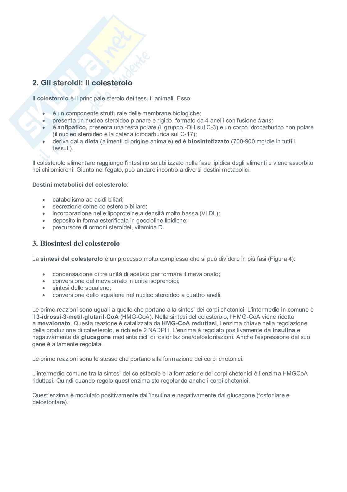 Colesterolo, lipoproteine e metabolismo ossidativo dei lipidi Pag. 1