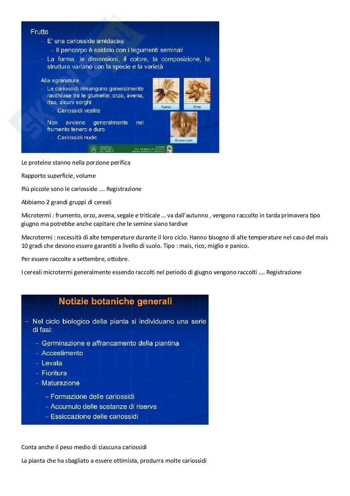 Sistemi colturali erbacei Pag. 16