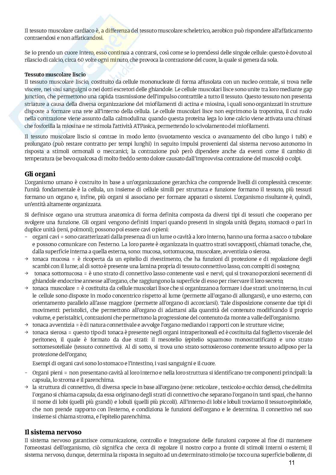 Anatomia umana  Pag. 11