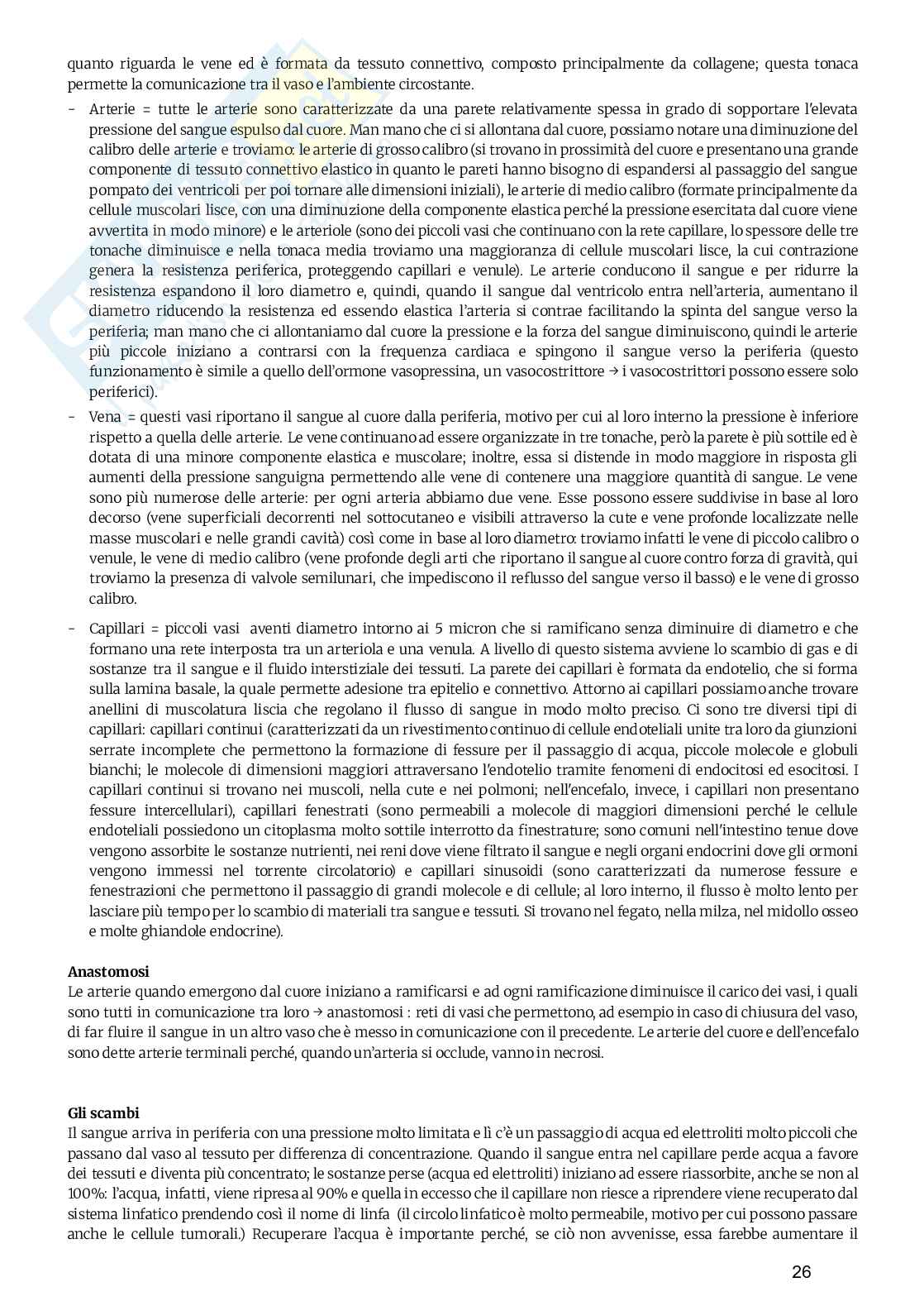 Anatomia umana  Pag. 26