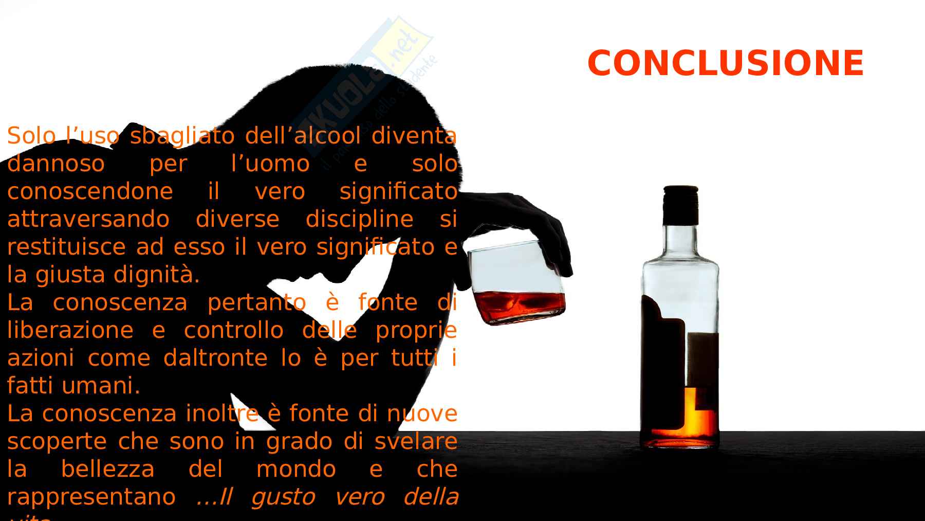 Alcol - Tesina Pag. 11