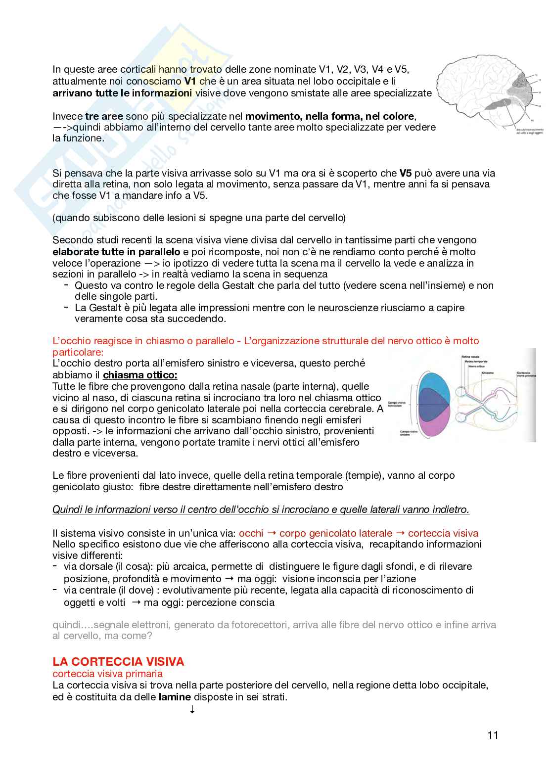 Appunti per l'esame di Teoria della percezione e psicologia della forma  Pag. 11