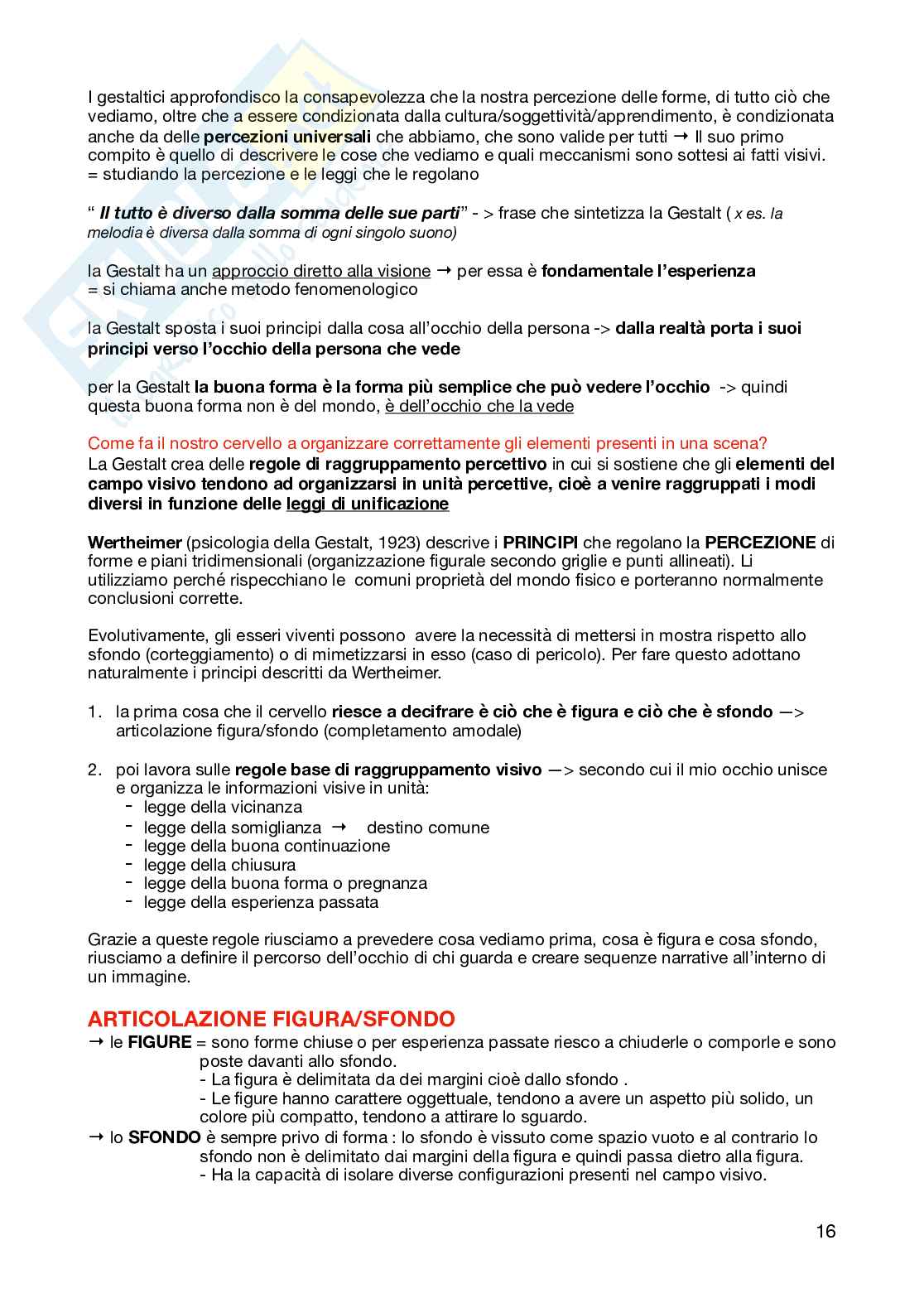 Appunti per l'esame di Teoria della percezione e psicologia della forma  Pag. 16