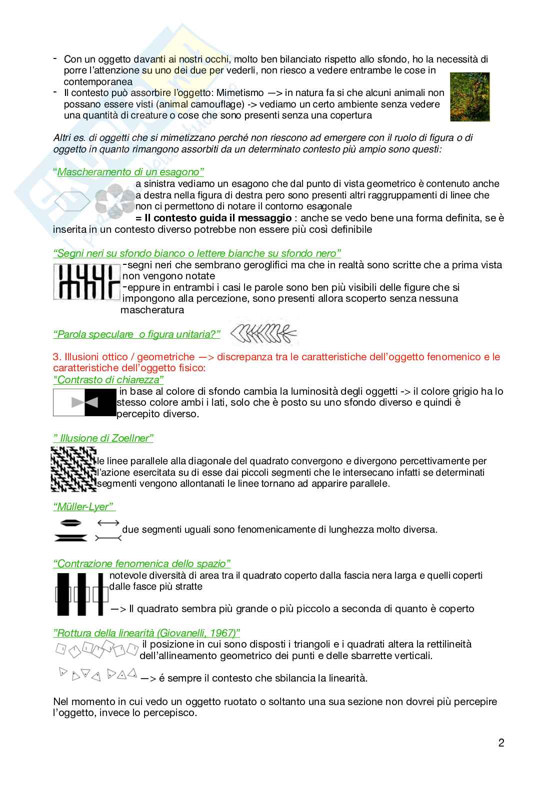 Appunti per l'esame di Teoria della percezione e psicologia della forma  Pag. 2