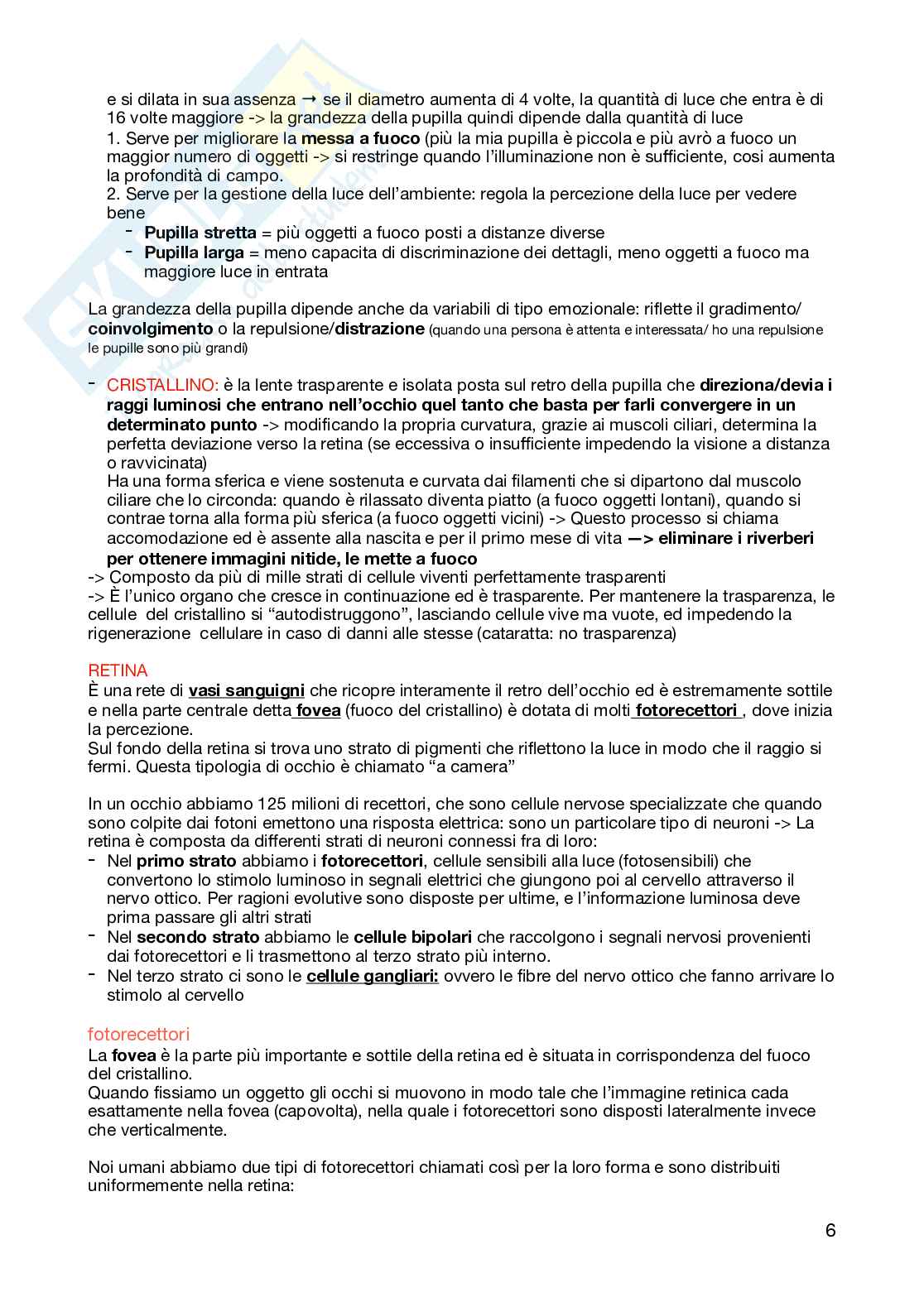 Appunti per l'esame di Teoria della percezione e psicologia della forma  Pag. 6