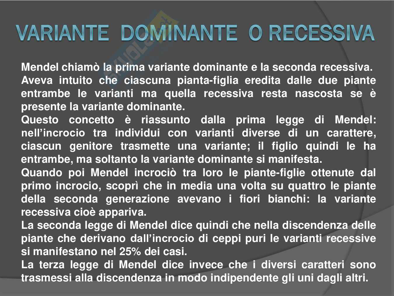 Razzismo - Tesina Pag. 101