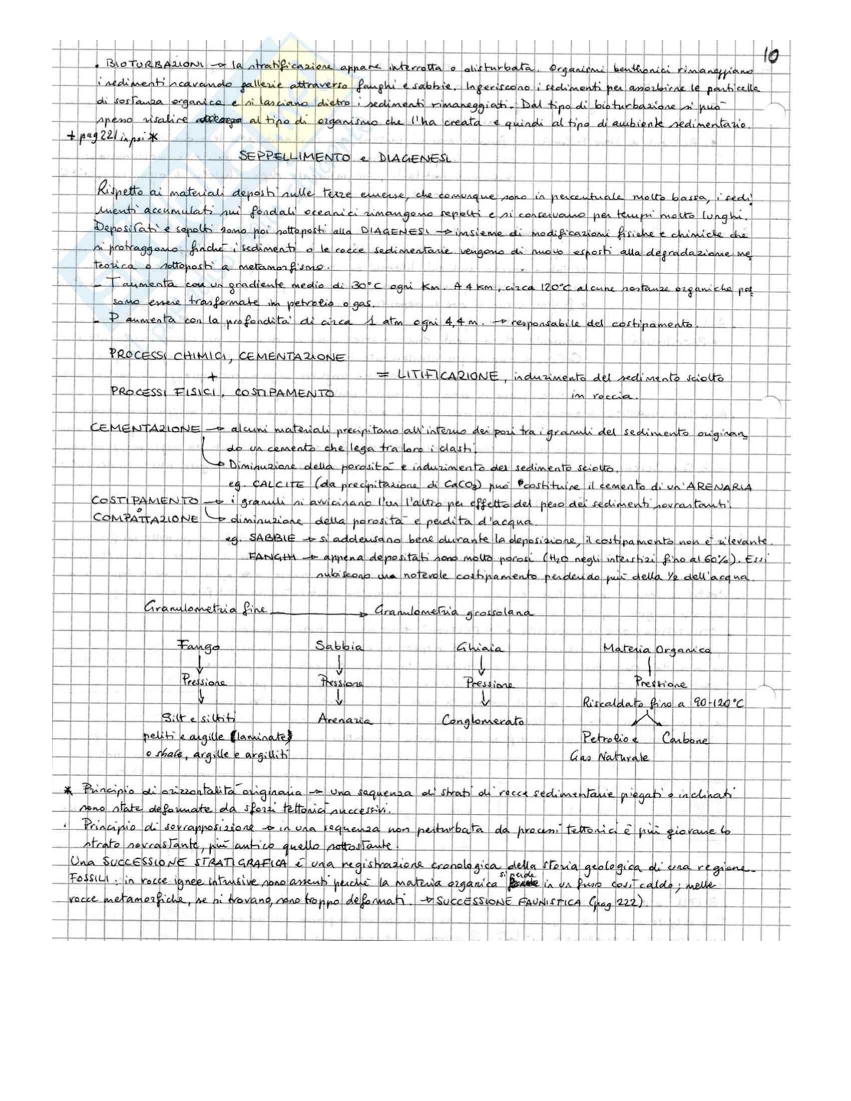 Geologia Marina – Appunti Pag. 31