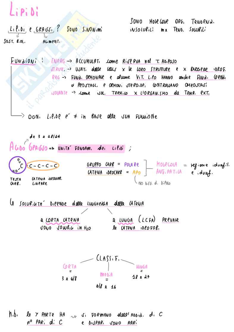 Appunti di Biochimica generale: lipidi, fosfolipidi e membrana cellulare Pag. 1