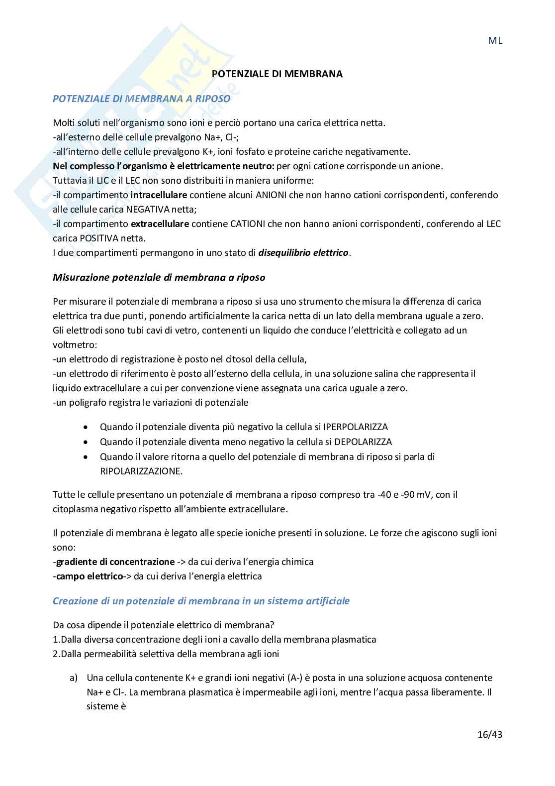 Appunti di fisiologia cellulare, linea A-L Pag. 16