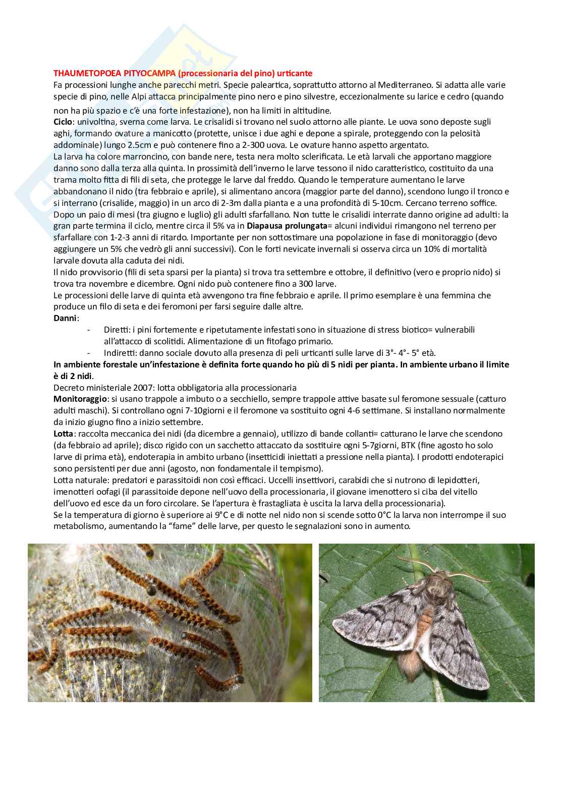 Entomologia generale e applicata 2 Pag. 16