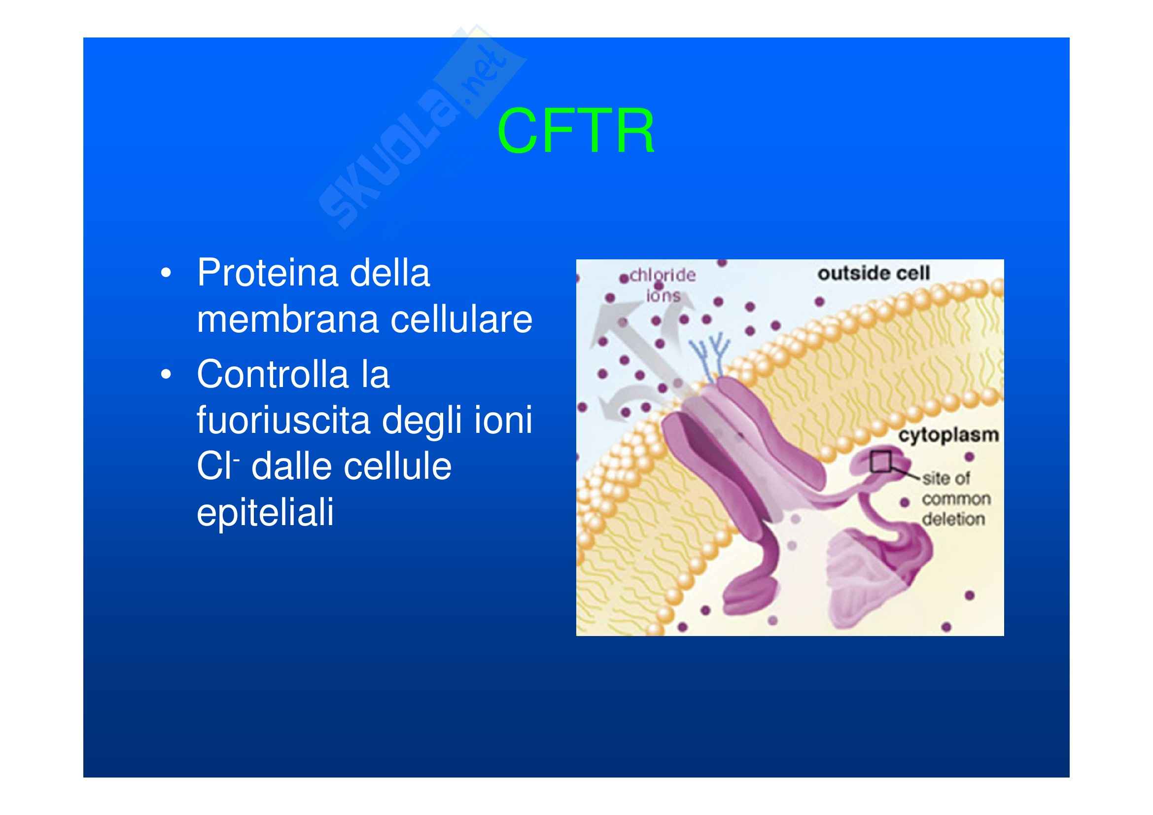 Fibrosi cistica Pag. 6