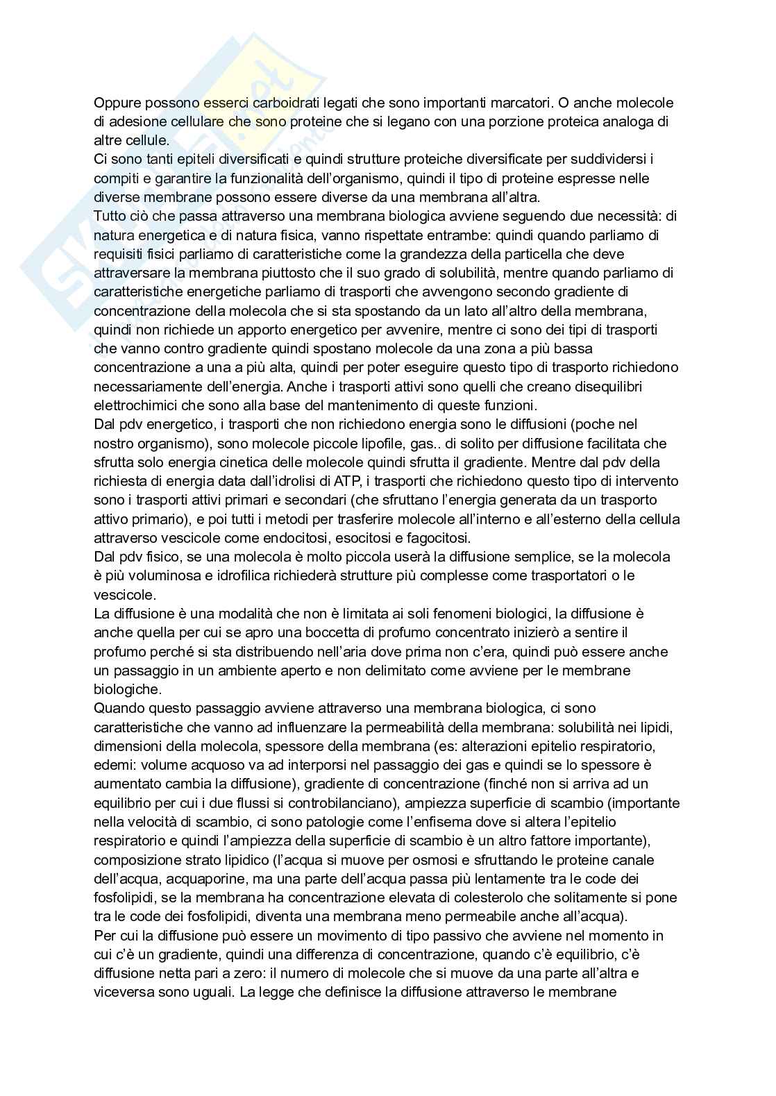 Appunti completi con grafici per il modulo di Fisiologia  Pag. 6