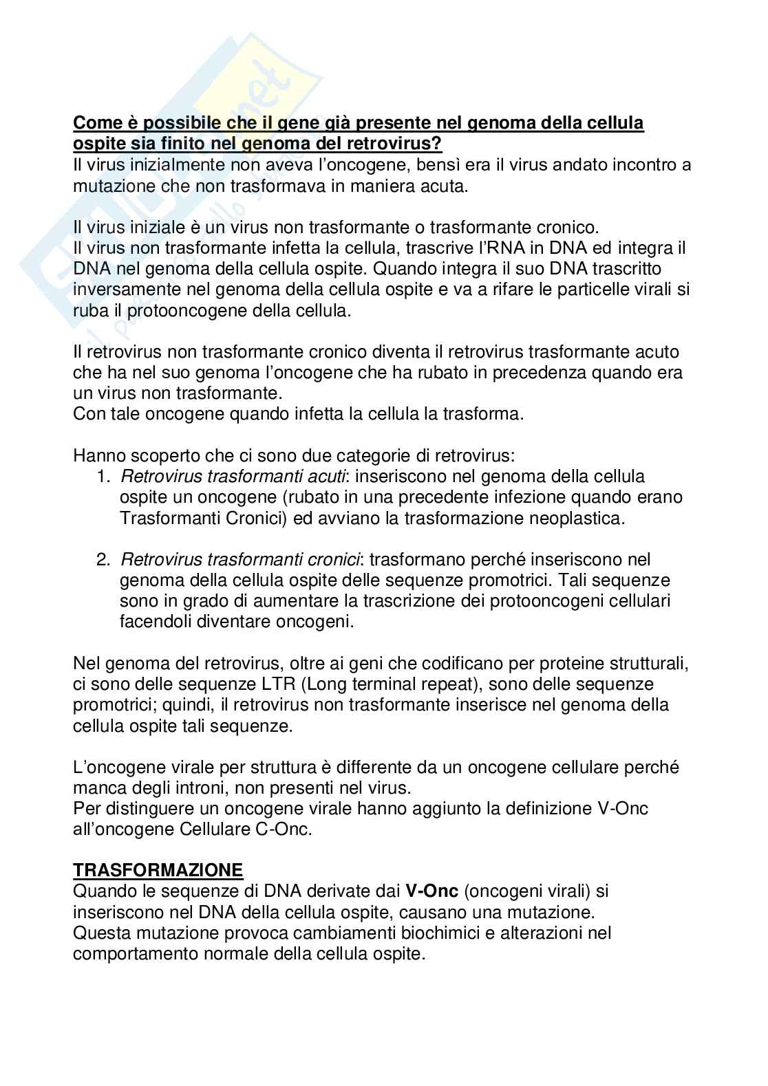 Patologia generale - Oncogeni e tumori Pag. 2
