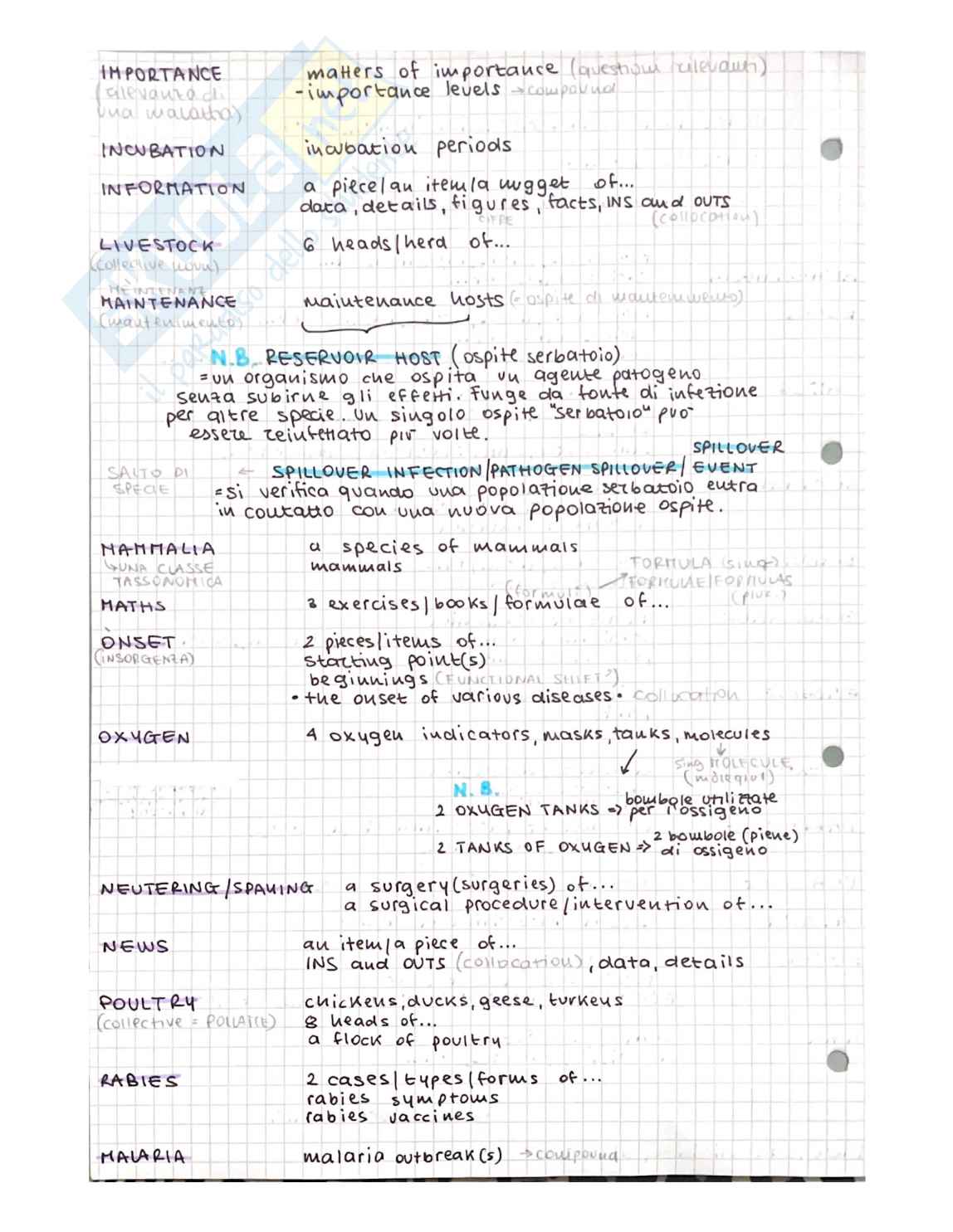 Appunti di Lingua Inglese Pag. 6