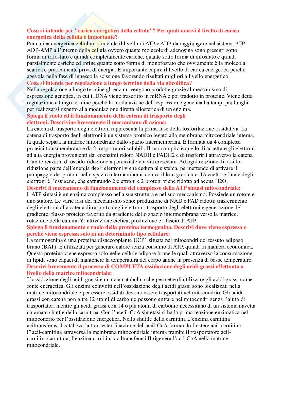 Paniere domande aperte biochimica Pag. 6