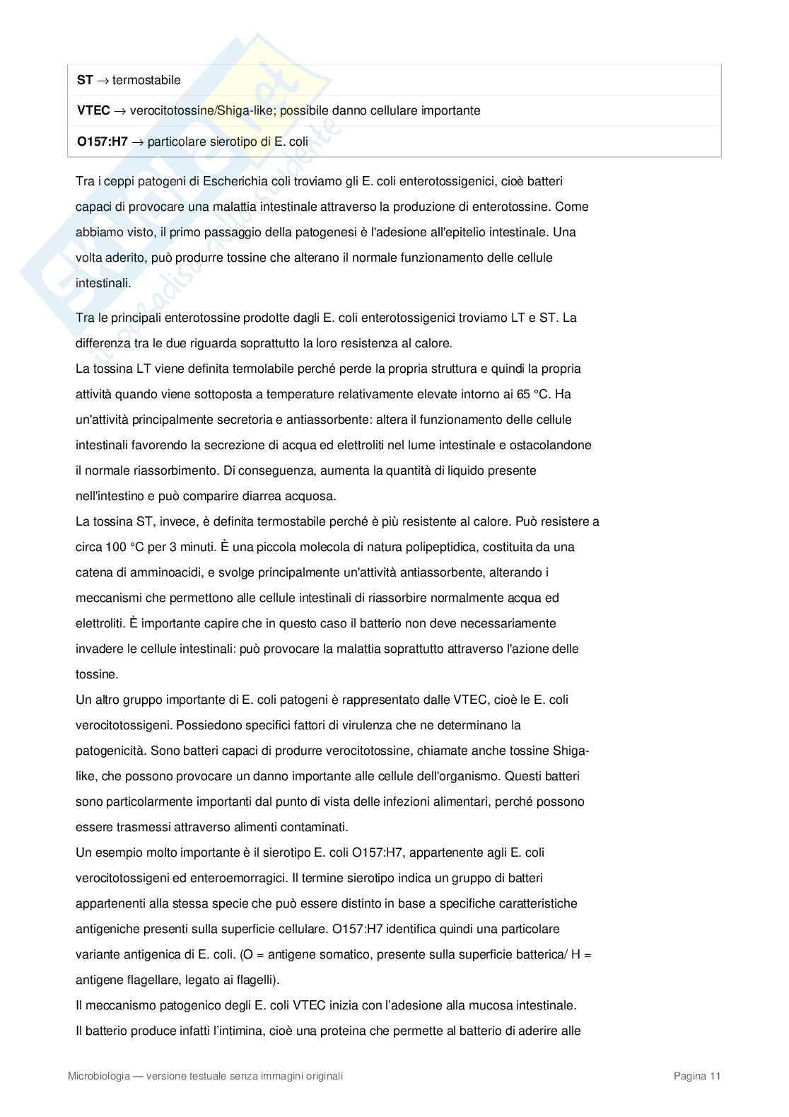 Appunti completi di Microbiologia – Cellula procariote, batteri, metabolismo e microrganismi Pag. 11