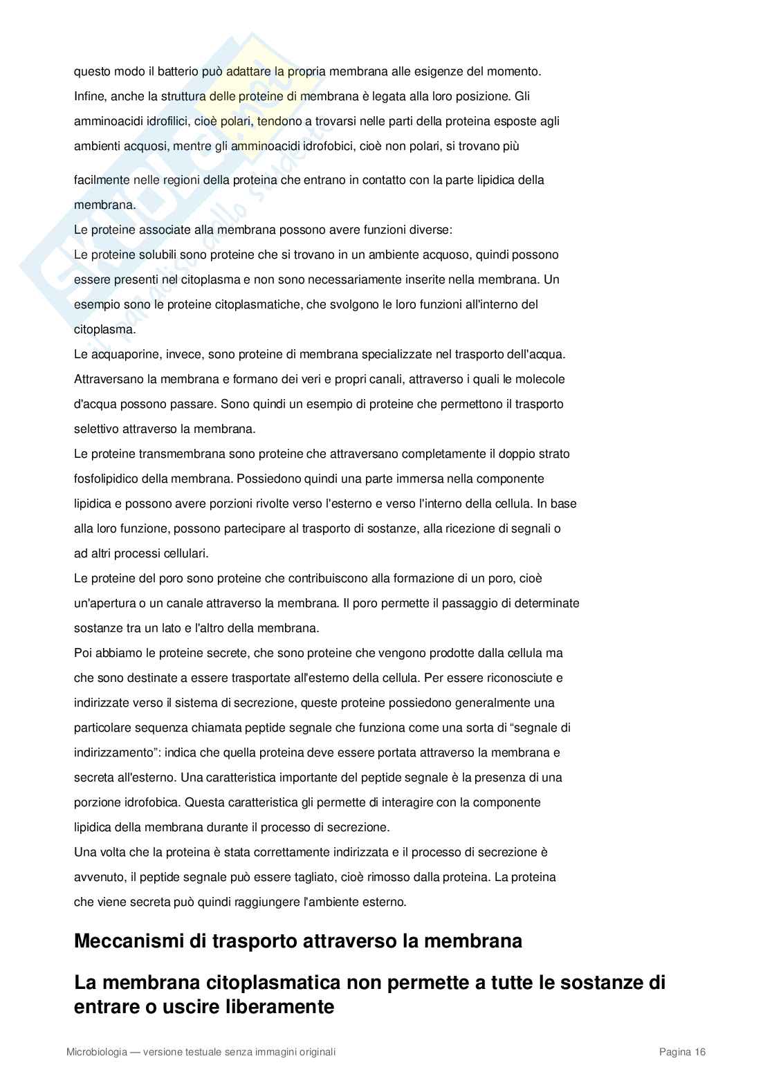 Appunti completi di Microbiologia – Cellula procariote, batteri, metabolismo e microrganismi Pag. 16