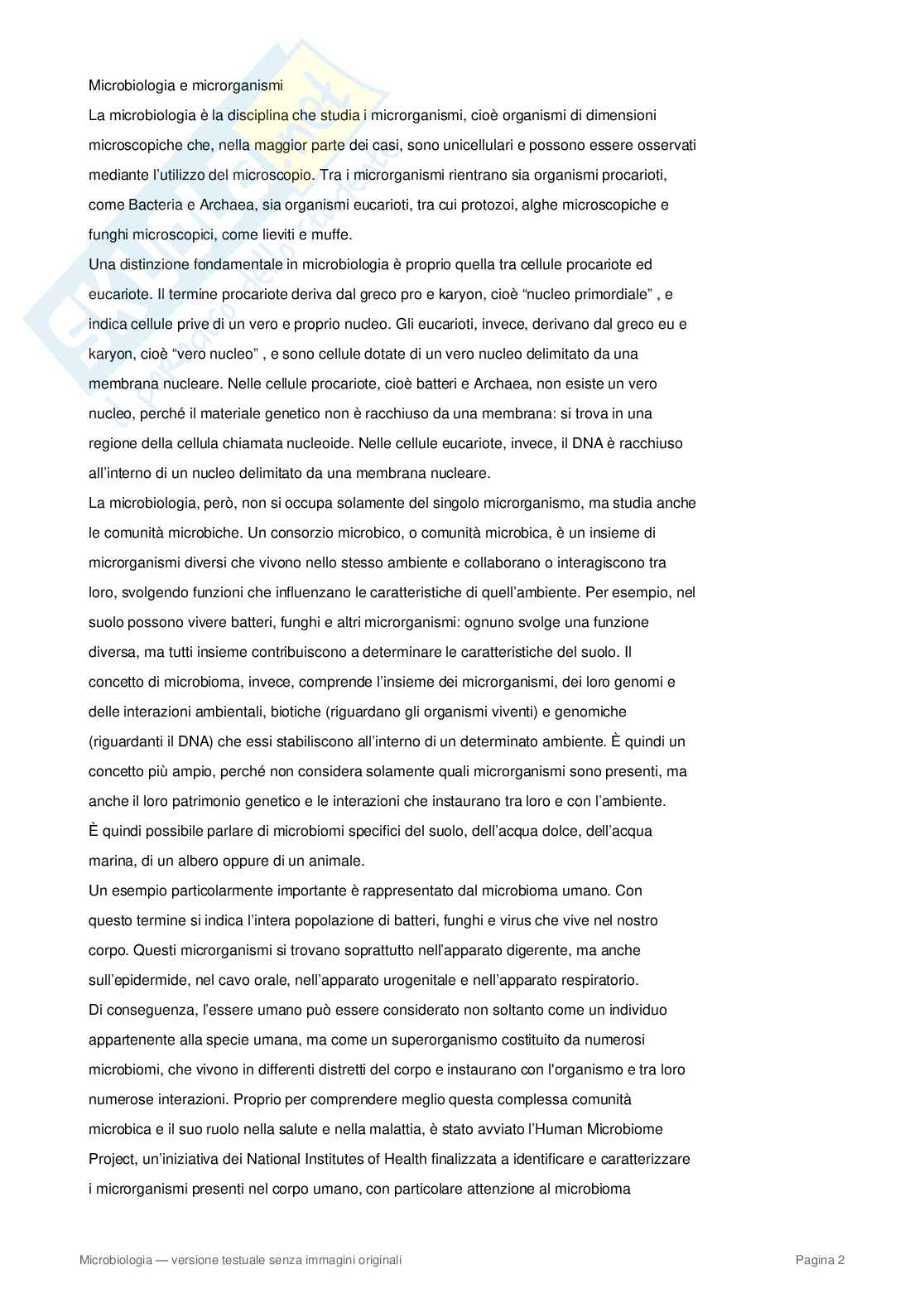 Appunti completi di Microbiologia – Cellula procariote, batteri, metabolismo e microrganismi Pag. 2