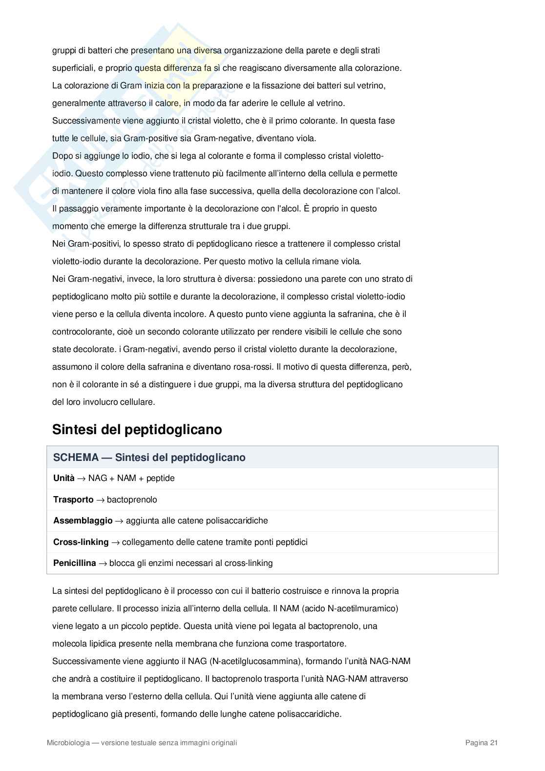 Appunti completi di Microbiologia – Cellula procariote, batteri, metabolismo e microrganismi Pag. 21