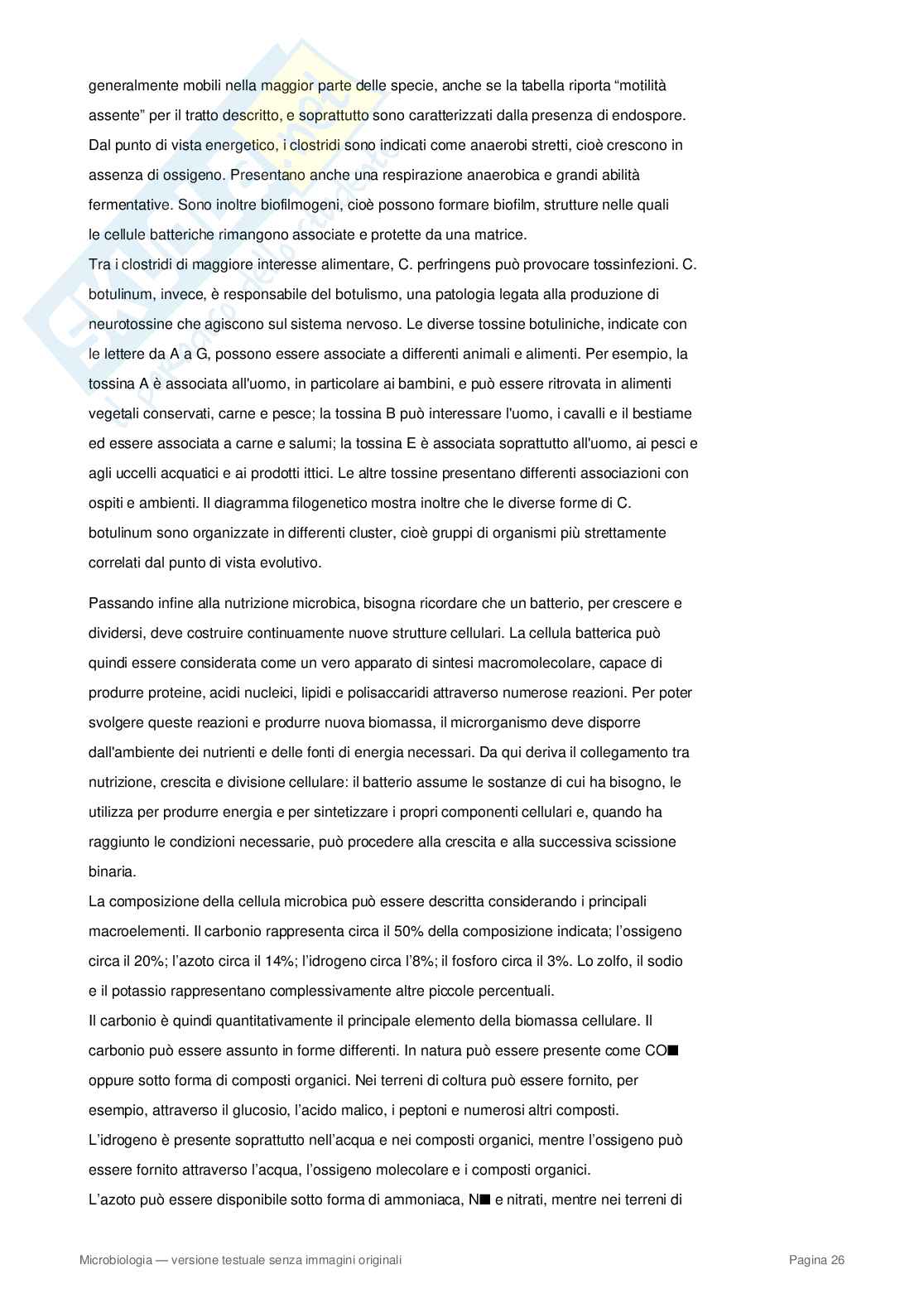 Appunti completi di Microbiologia – Cellula procariote, batteri, metabolismo e microrganismi Pag. 26