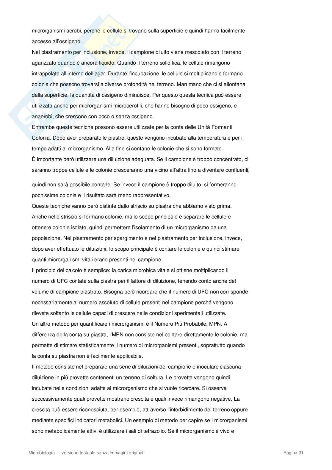 Appunti completi di Microbiologia – Cellula procariote, batteri, metabolismo e microrganismi Pag. 31