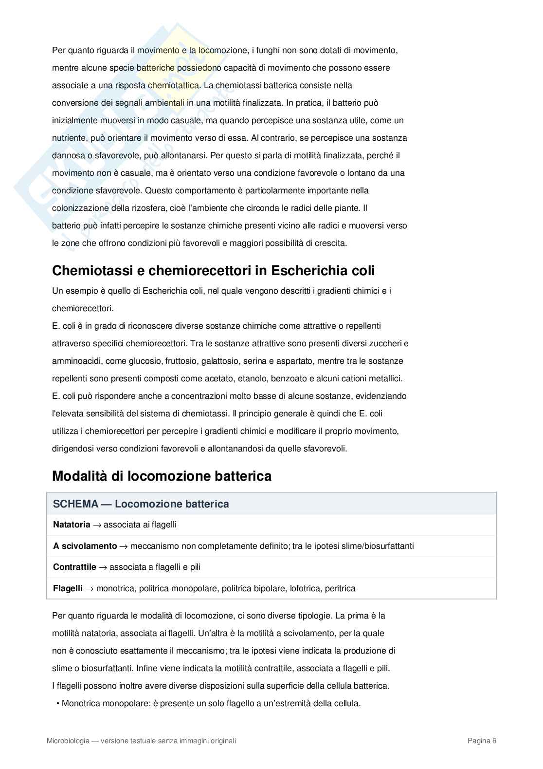 Appunti completi di Microbiologia – Cellula procariote, batteri, metabolismo e microrganismi Pag. 6