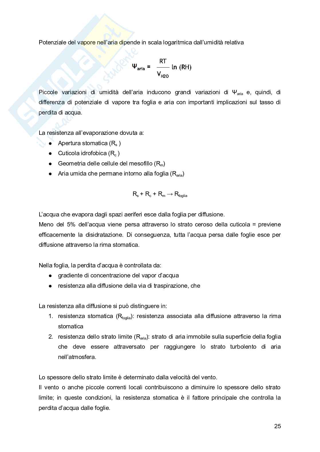 Appunti di Fisiologia vegetale Pag. 26