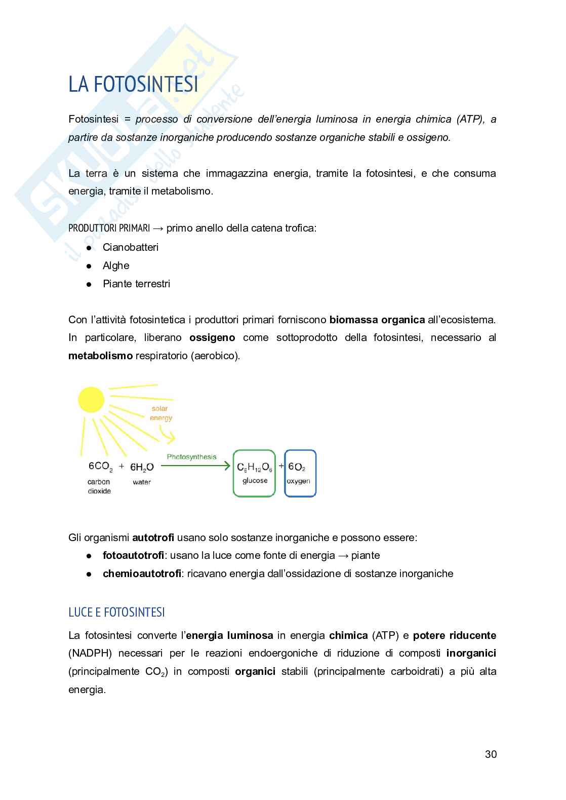 Appunti di Fisiologia vegetale Pag. 31