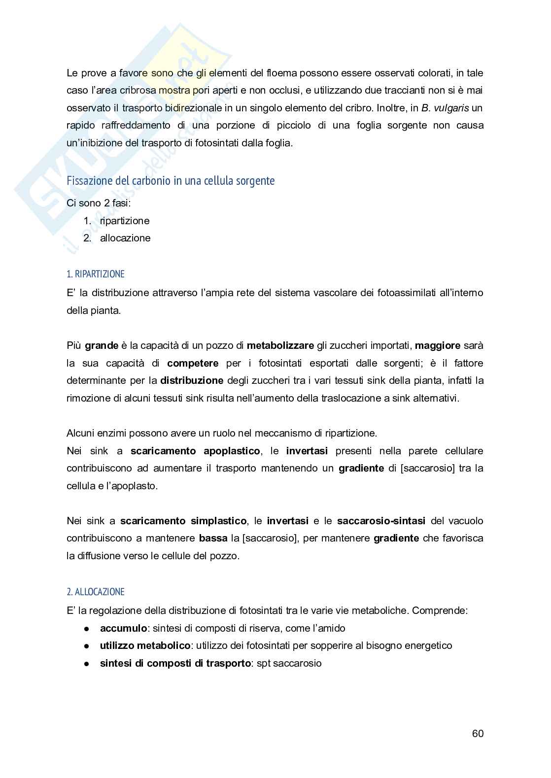 Appunti di Fisiologia vegetale Pag. 61