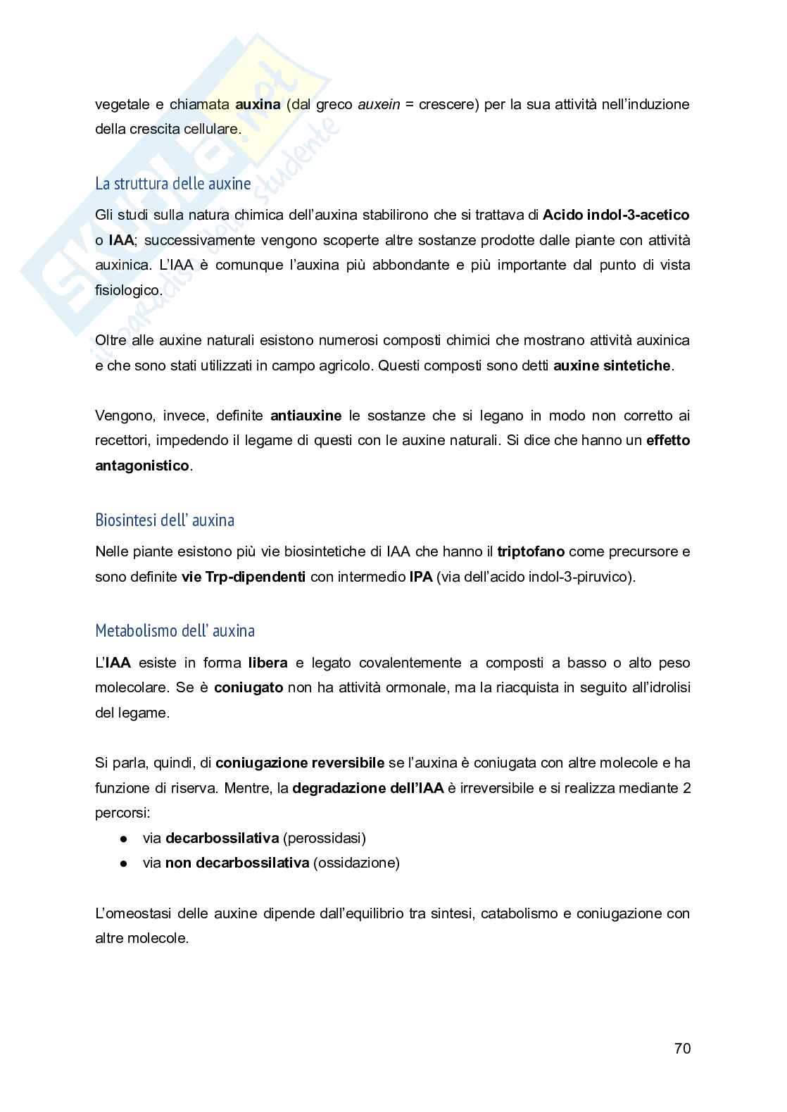 Appunti di Fisiologia vegetale Pag. 71