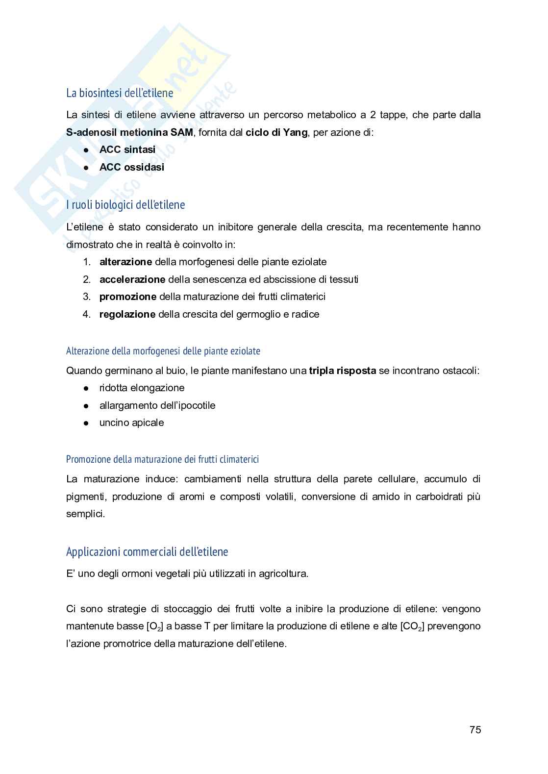 Appunti di Fisiologia vegetale Pag. 76