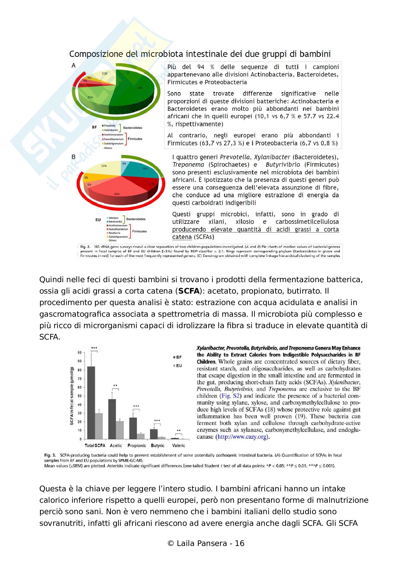 Ecologia del microbiota umano, parte 2, prof. Simone Guglielmetti Pag. 16