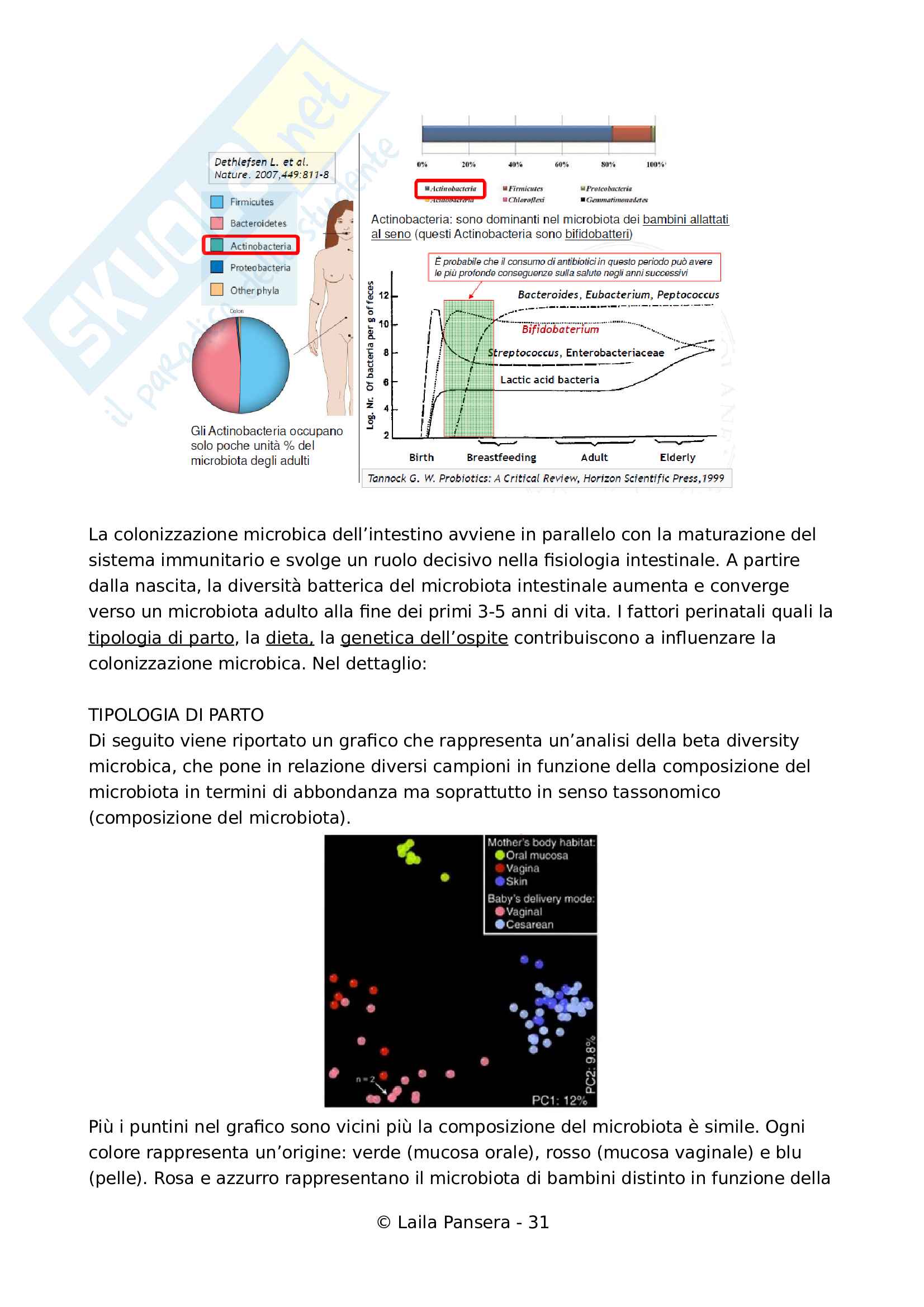 Ecologia del microbiota umano, parte 2, prof. Simone Guglielmetti Pag. 31