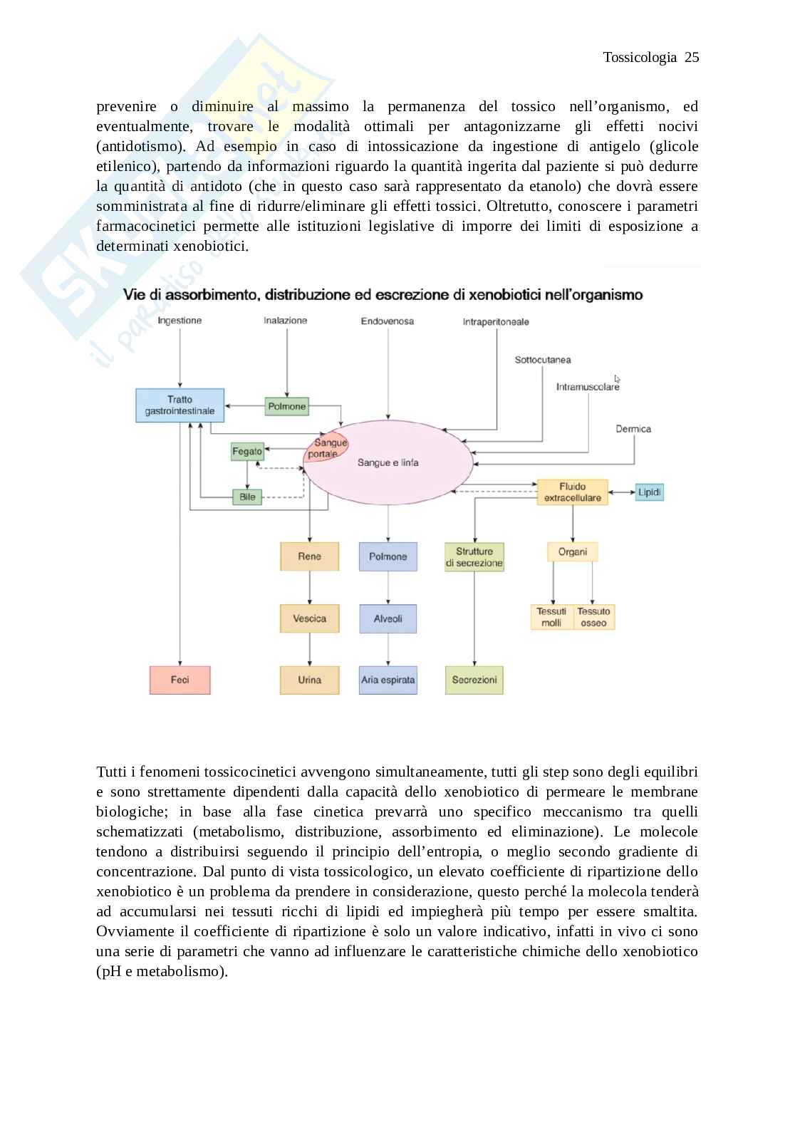 Tossicologia Pag. 26