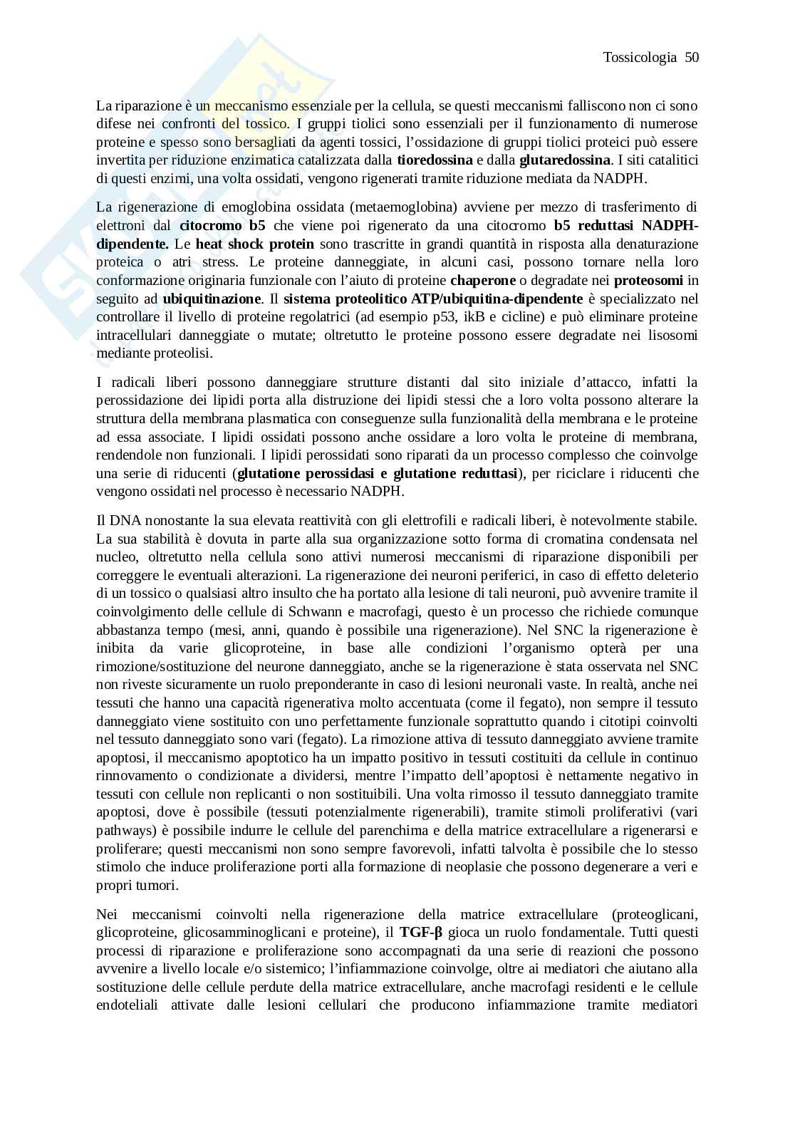 Tossicologia Pag. 51