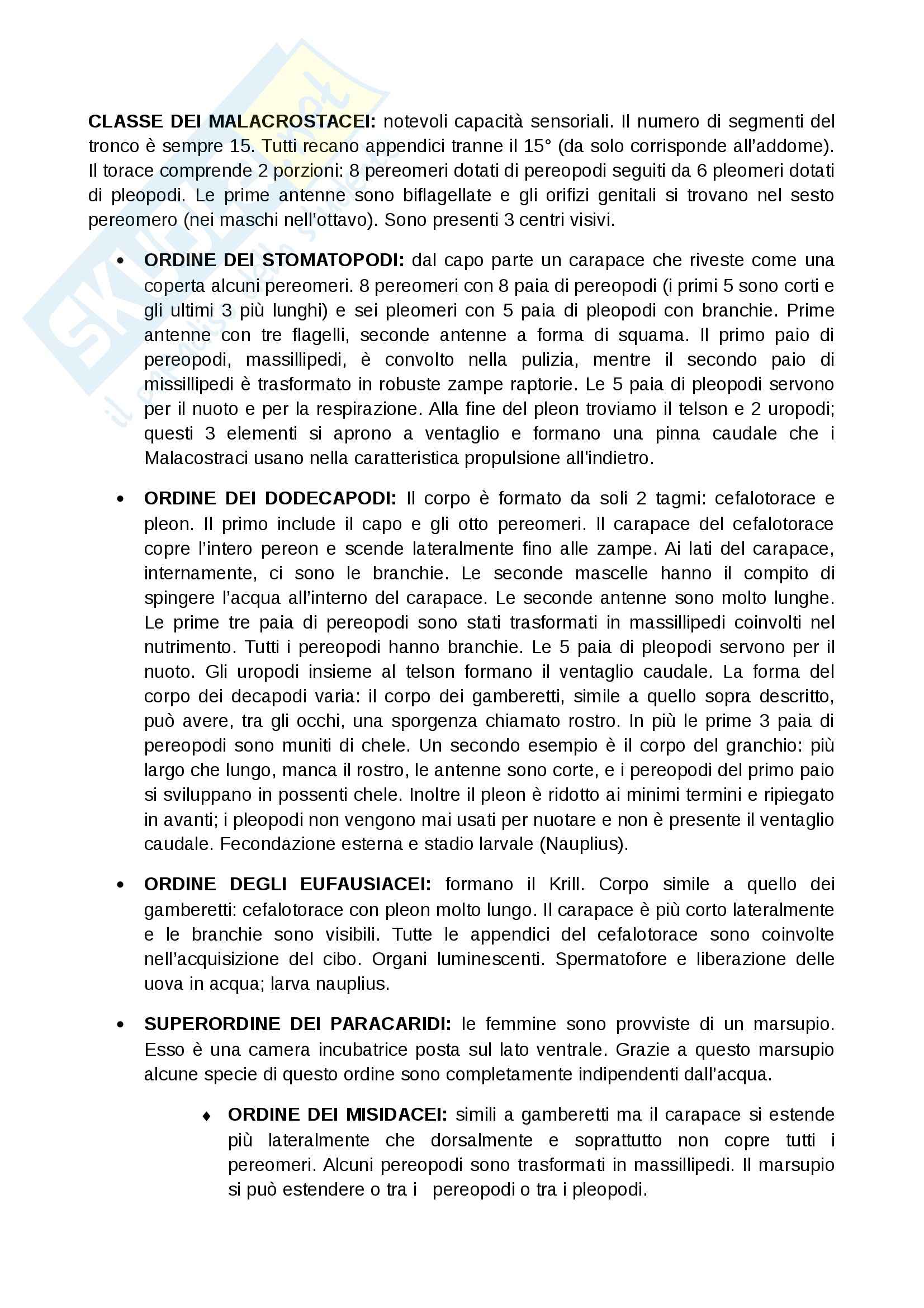 Zoologia  - Appunti Pag. 21