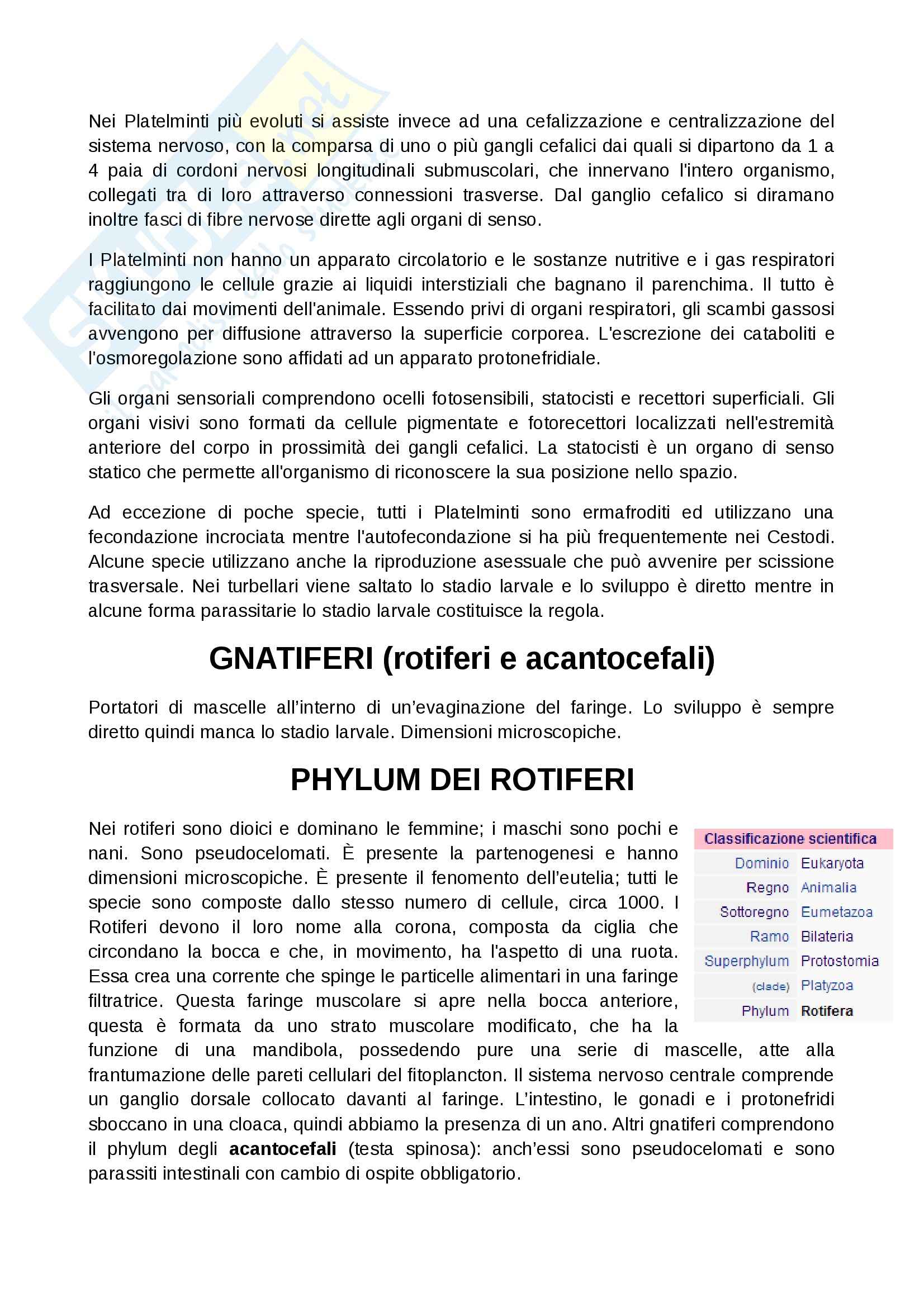 Zoologia  - Appunti Pag. 6