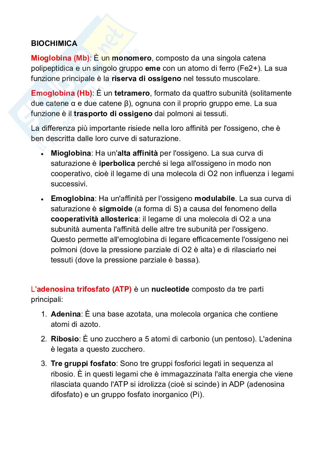 Appunti Biochimica Pag. 1