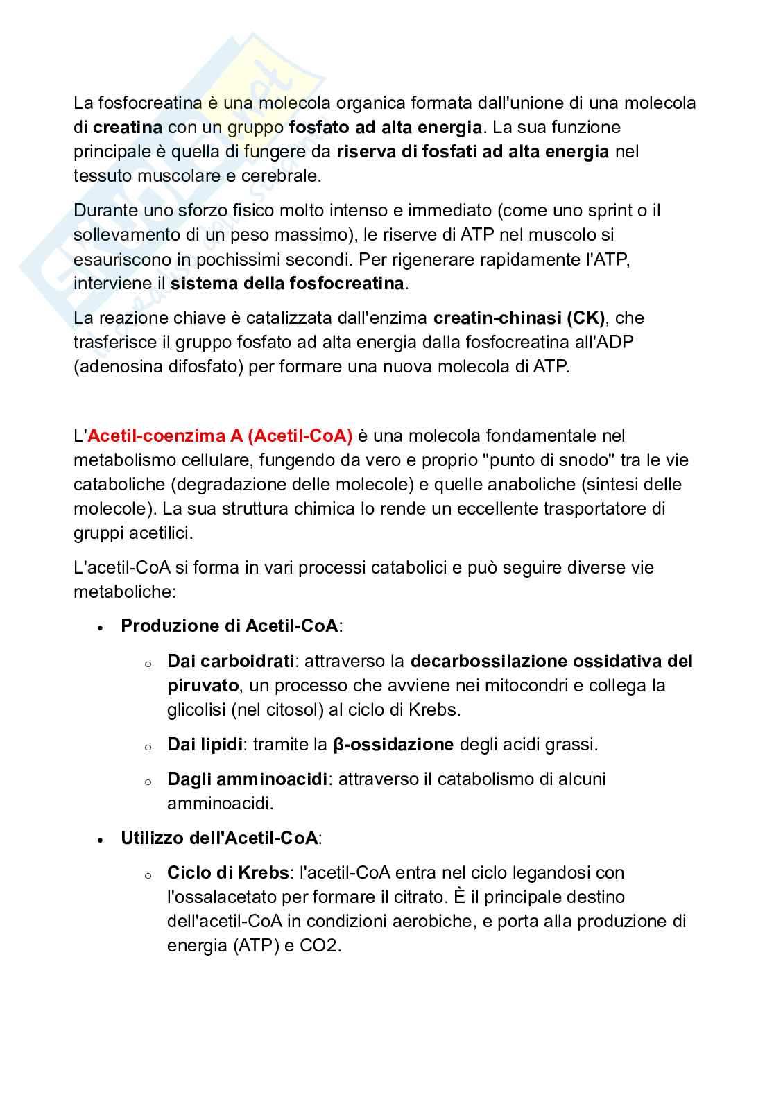 Appunti Biochimica Pag. 2