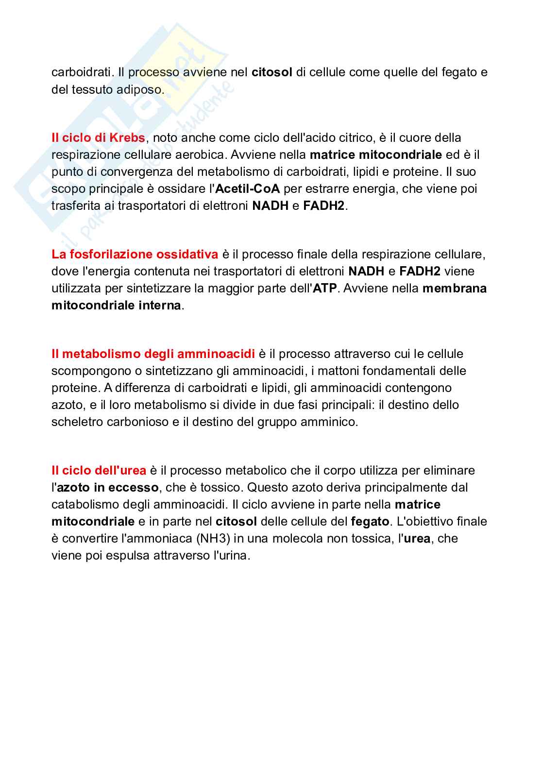 Appunti Biochimica Pag. 6