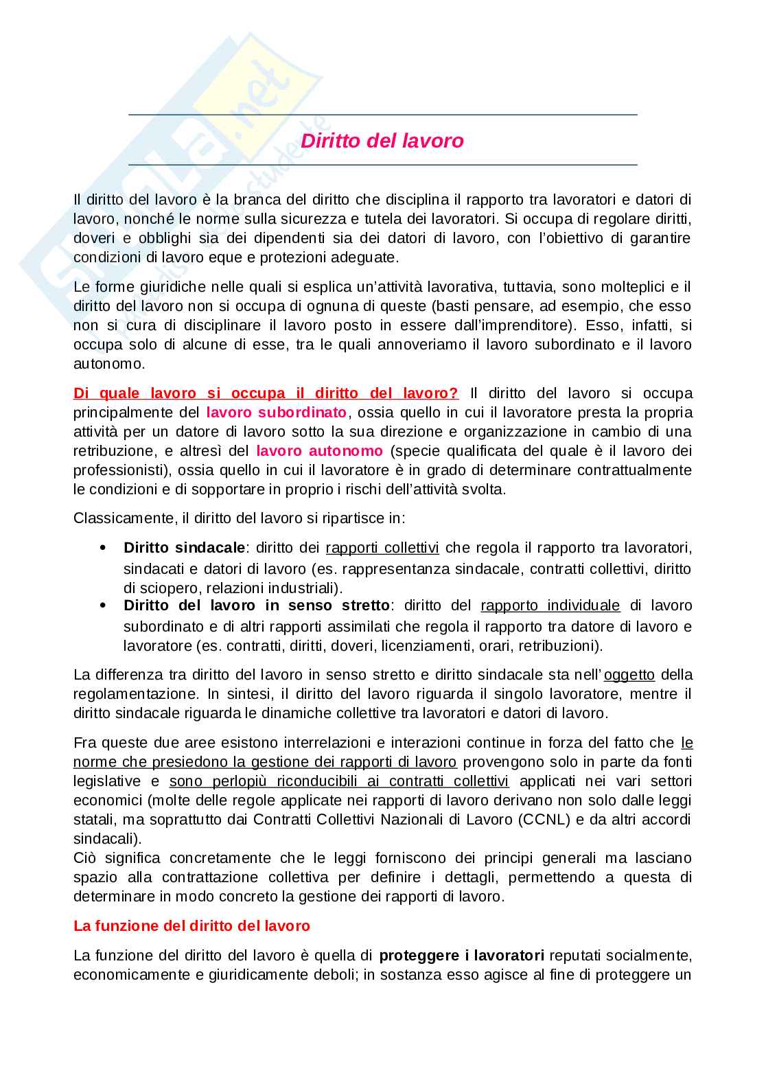 Riassunto esame Diritto del lavoro, Prof. Avio Alberto, libro consigliato Manuale di diritto del lavoro, Del Punta Pag. 1